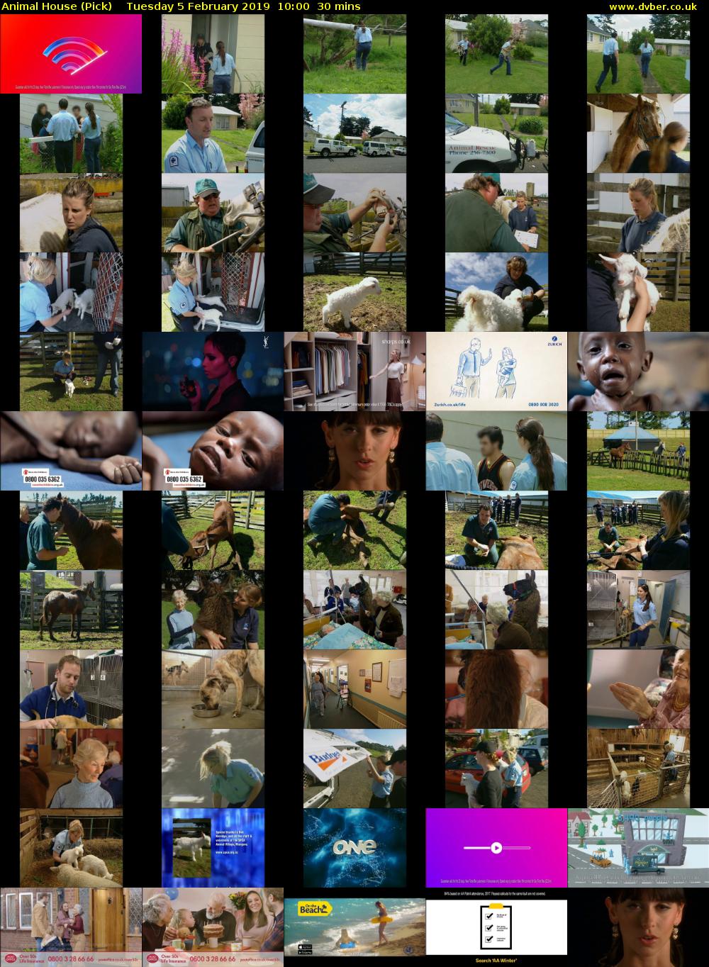 Animal House (Pick) Tuesday 5 February 2019 10:00 - 10:30