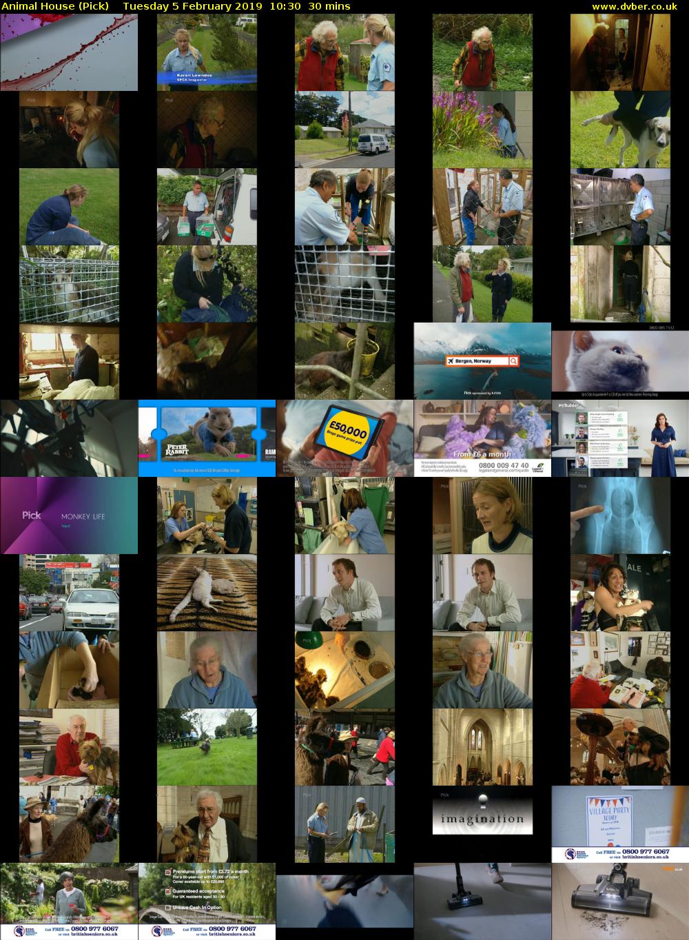 Animal House (Pick) Tuesday 5 February 2019 10:30 - 11:00