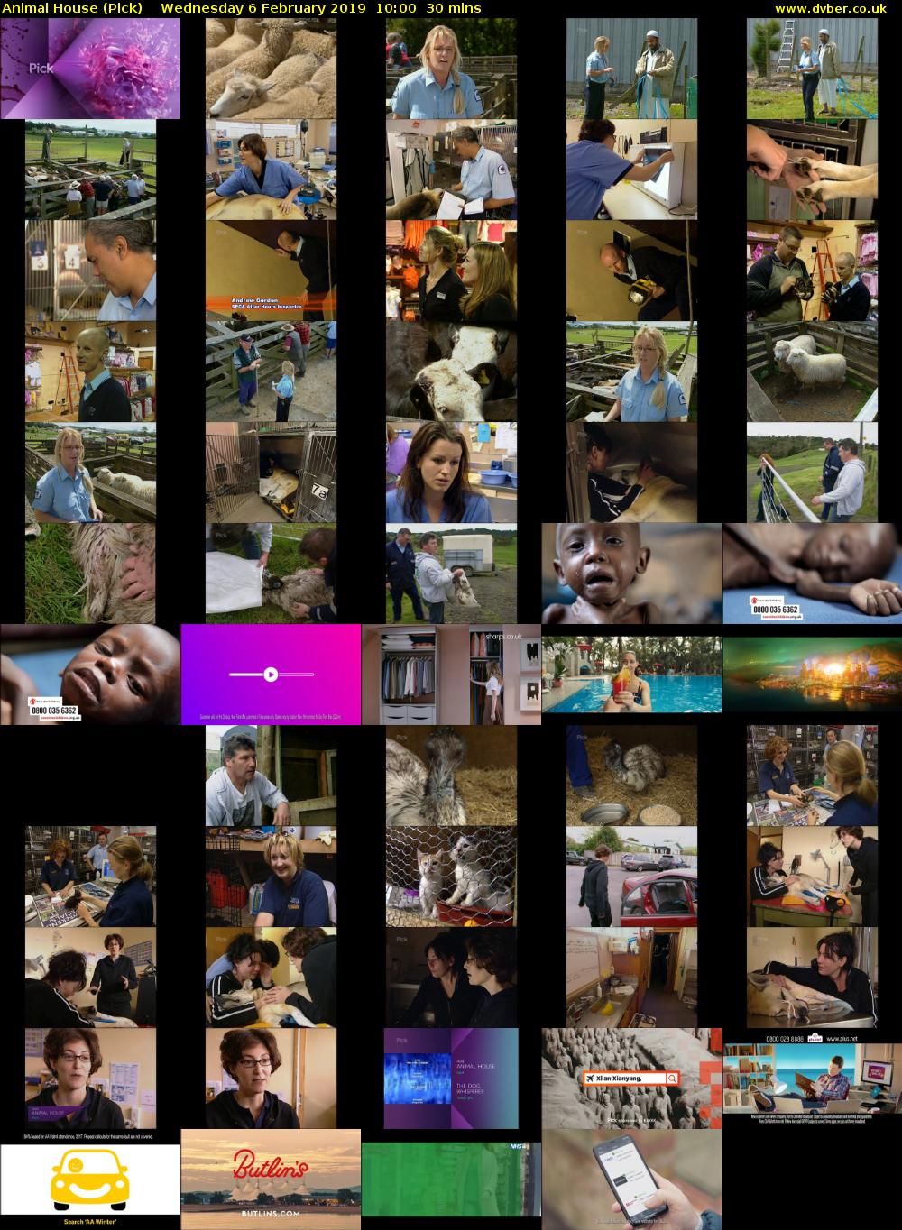 Animal House (Pick) Wednesday 6 February 2019 10:00 - 10:30