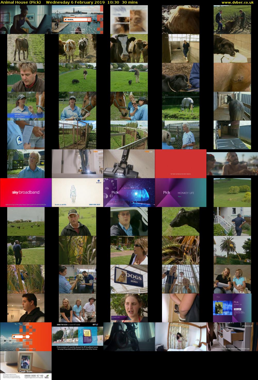 Animal House (Pick) Wednesday 6 February 2019 10:30 - 11:00