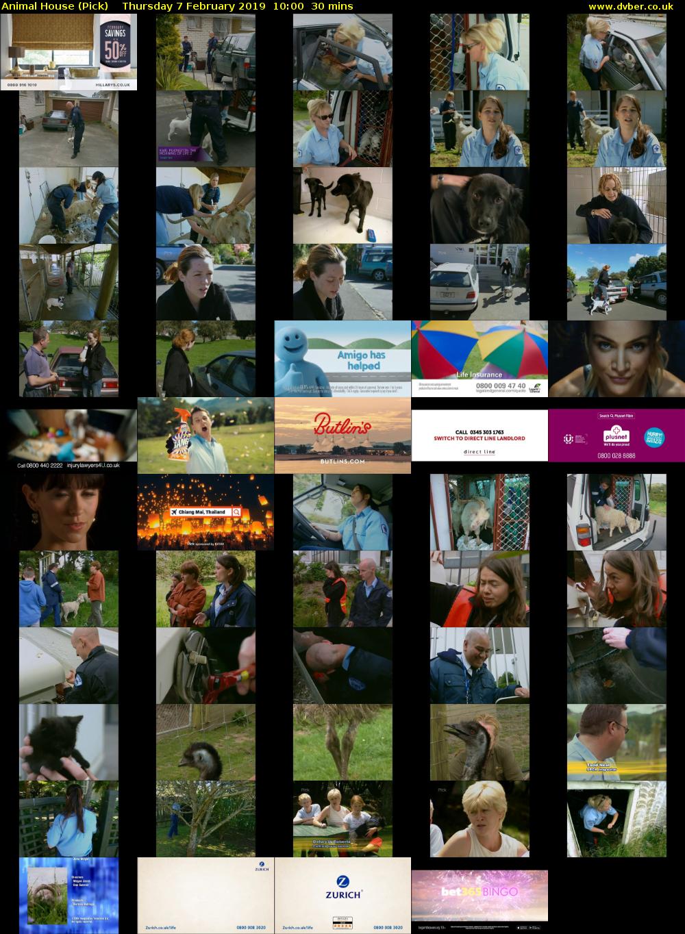 Animal House (Pick) Thursday 7 February 2019 10:00 - 10:30