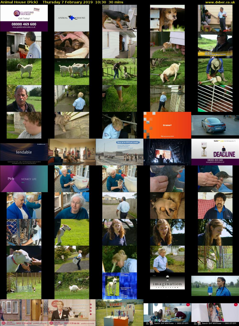 Animal House (Pick) Thursday 7 February 2019 10:30 - 11:00