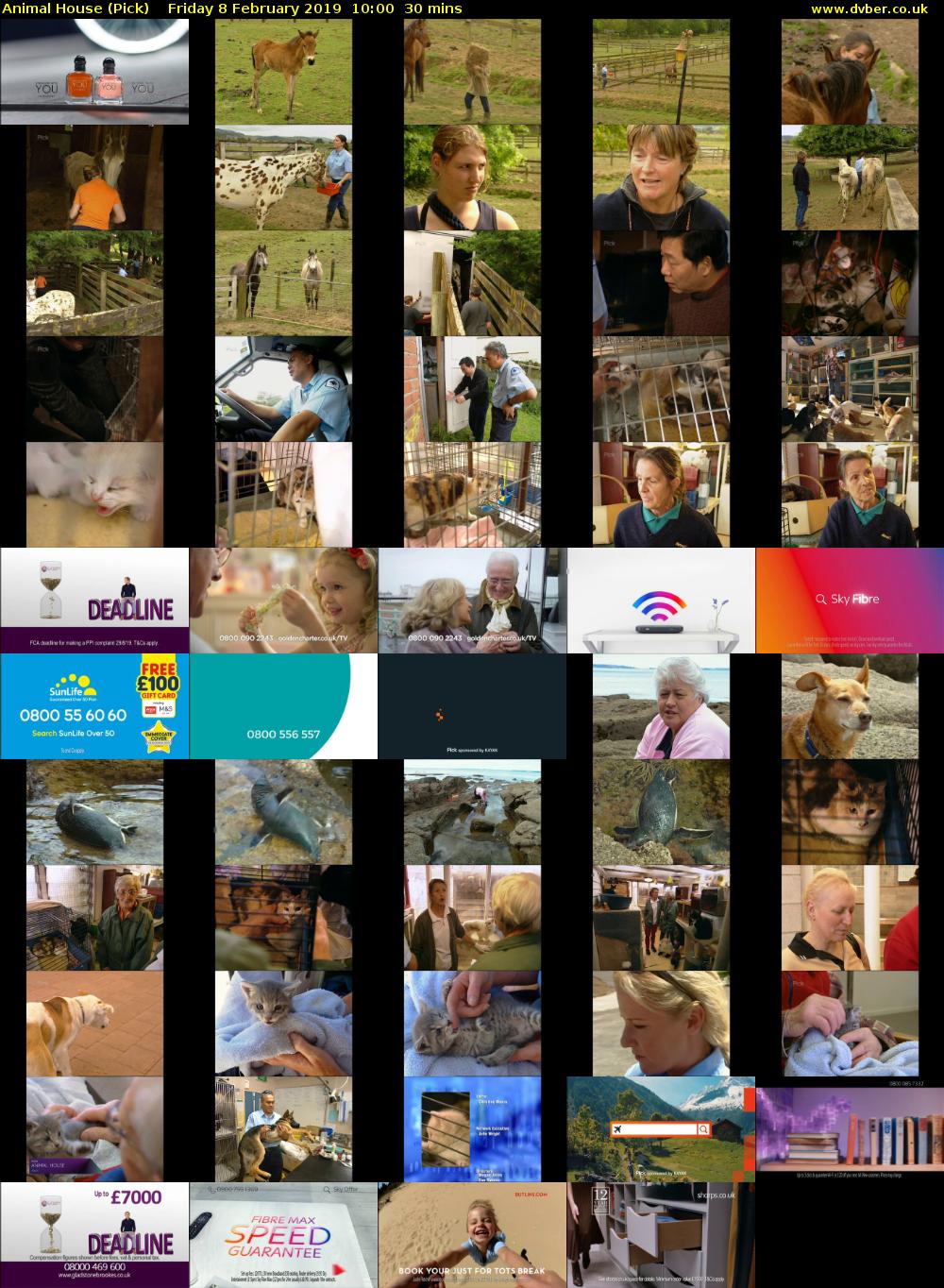 Animal House (Pick) Friday 8 February 2019 10:00 - 10:30