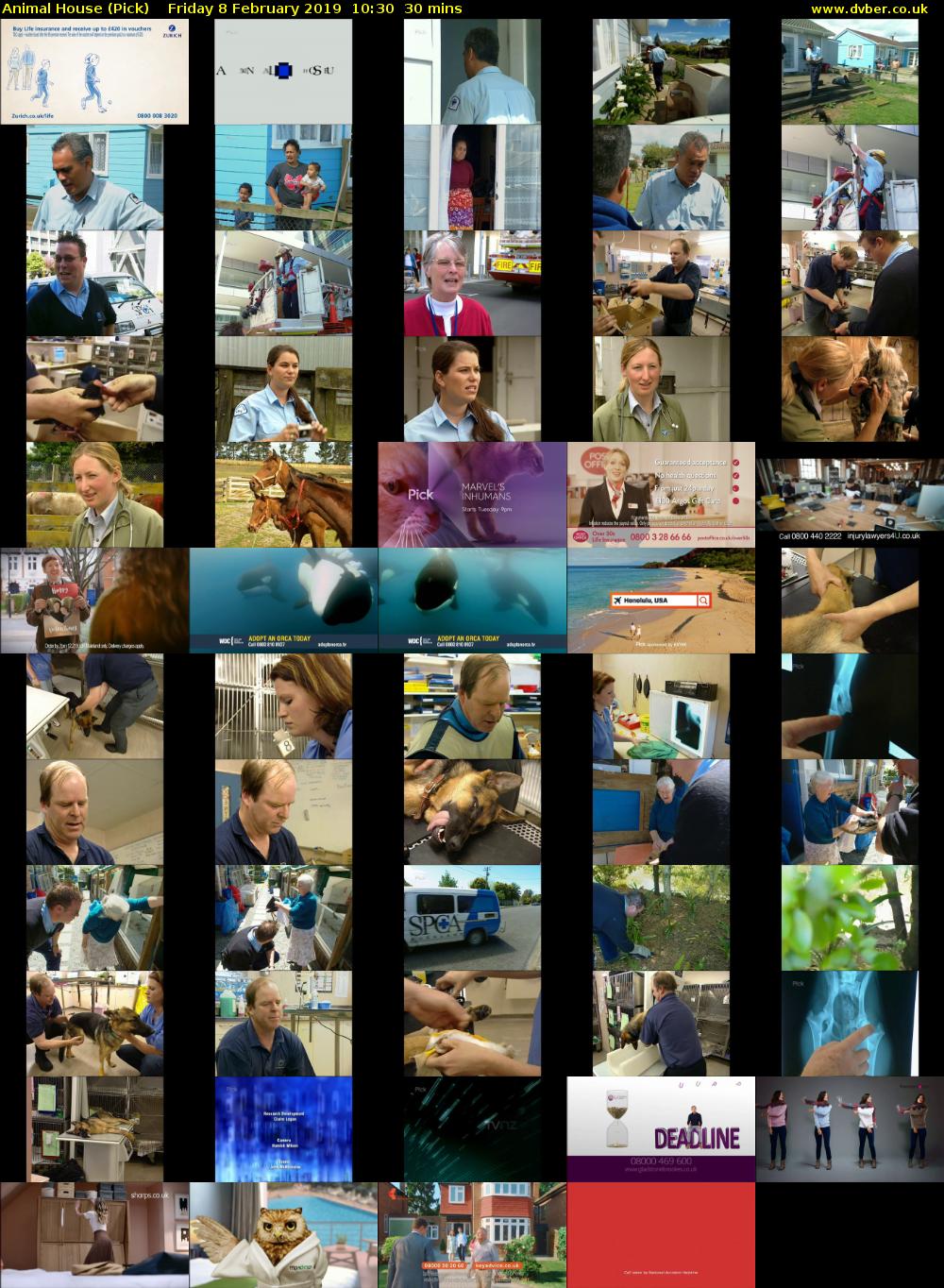 Animal House (Pick) Friday 8 February 2019 10:30 - 11:00