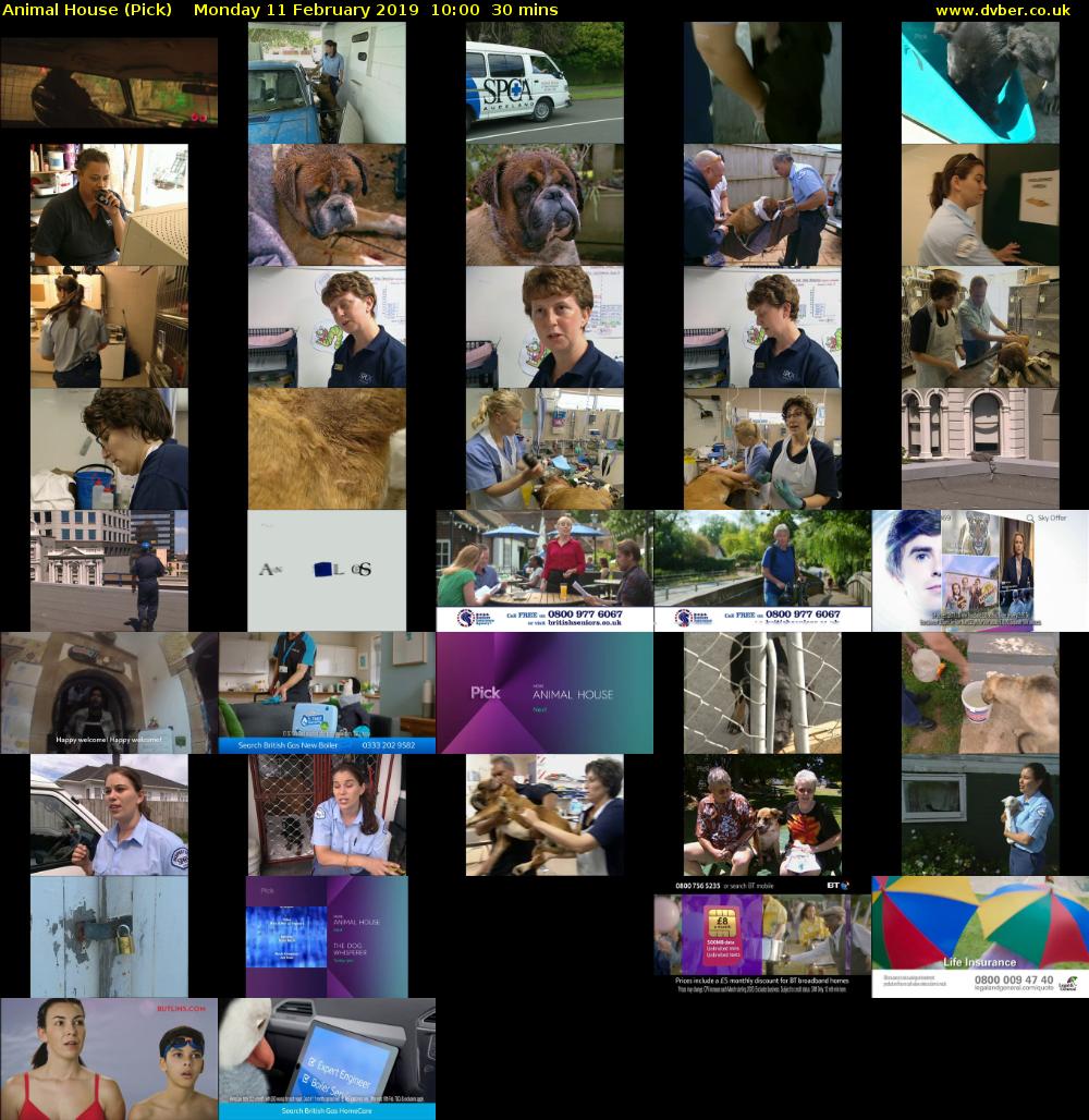 Animal House (Pick) Monday 11 February 2019 10:00 - 10:30