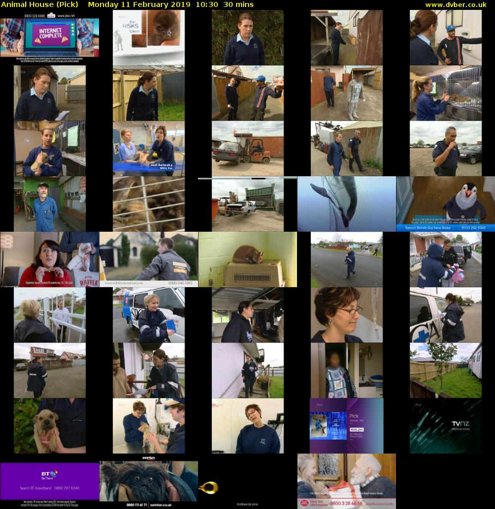 Animal House (Pick) Monday 11 February 2019 10:30 - 11:00