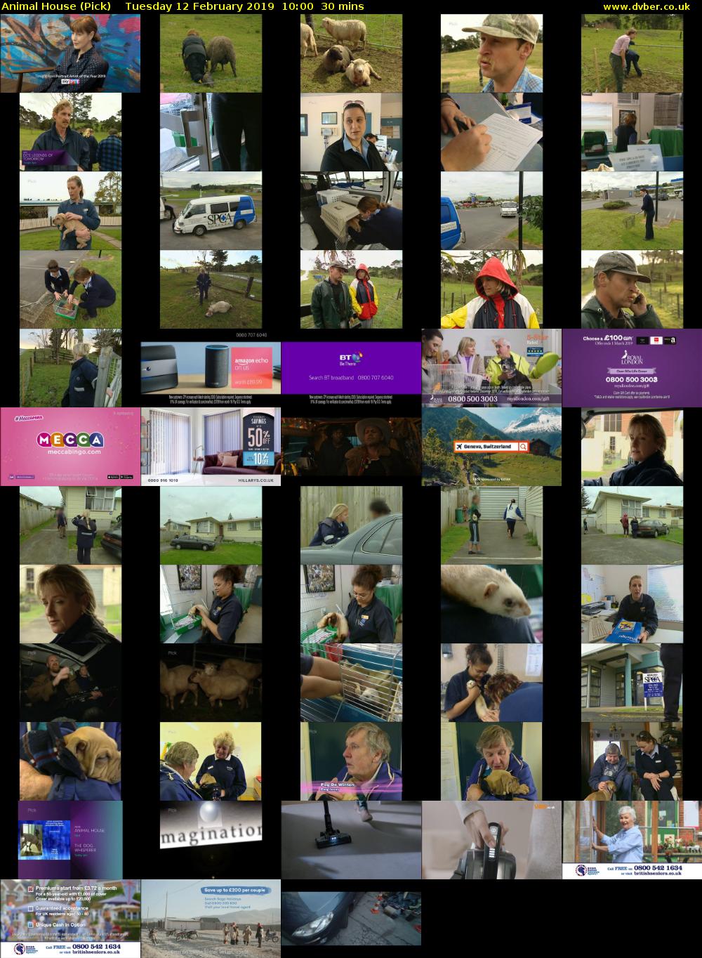 Animal House (Pick) Tuesday 12 February 2019 10:00 - 10:30