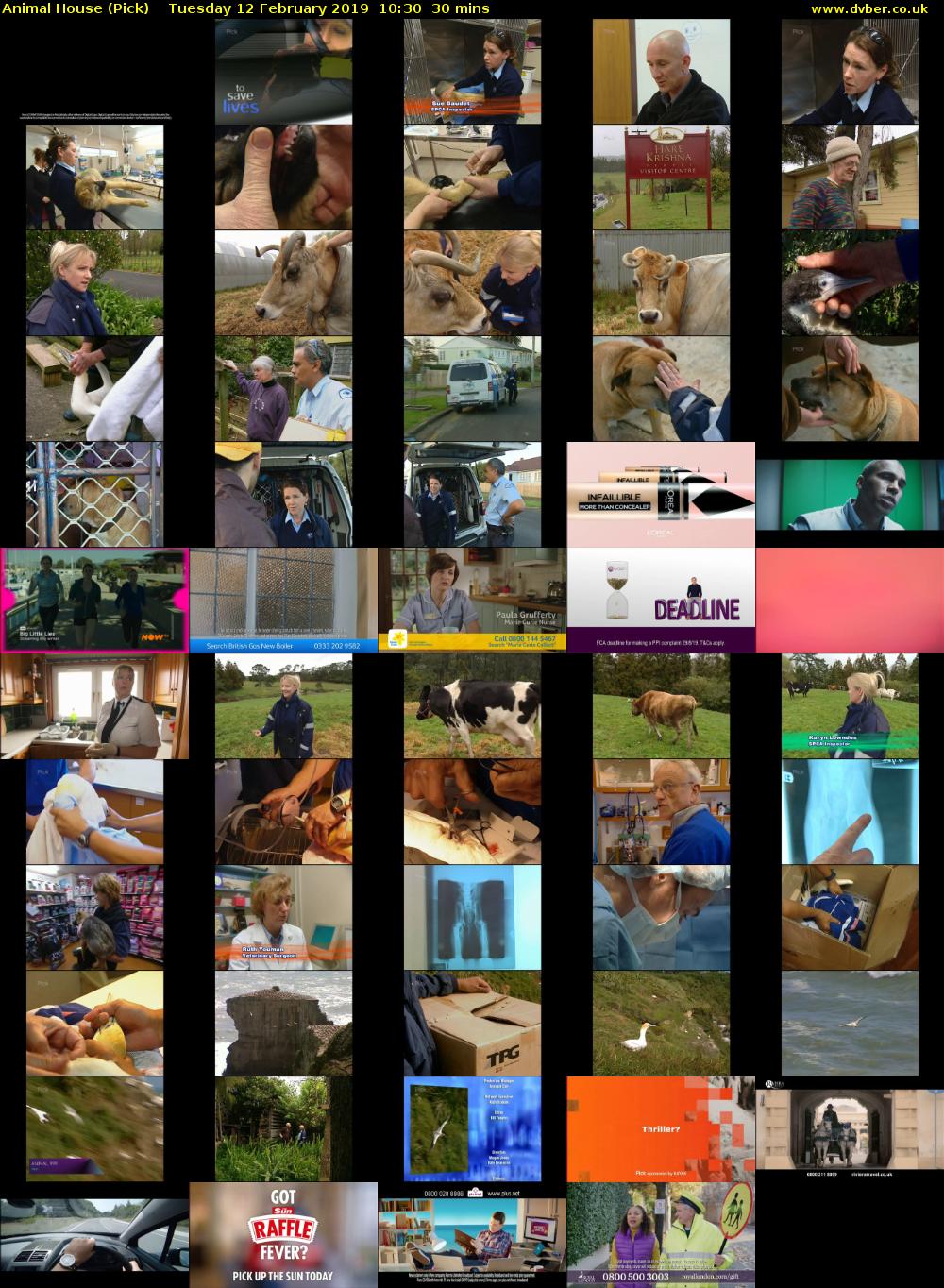 Animal House (Pick) Tuesday 12 February 2019 10:30 - 11:00