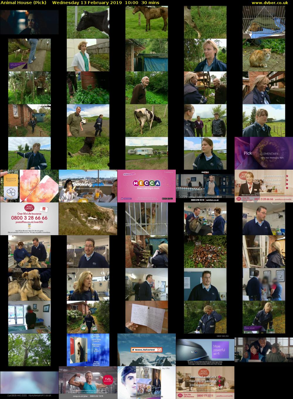 Animal House (Pick) Wednesday 13 February 2019 10:00 - 10:30