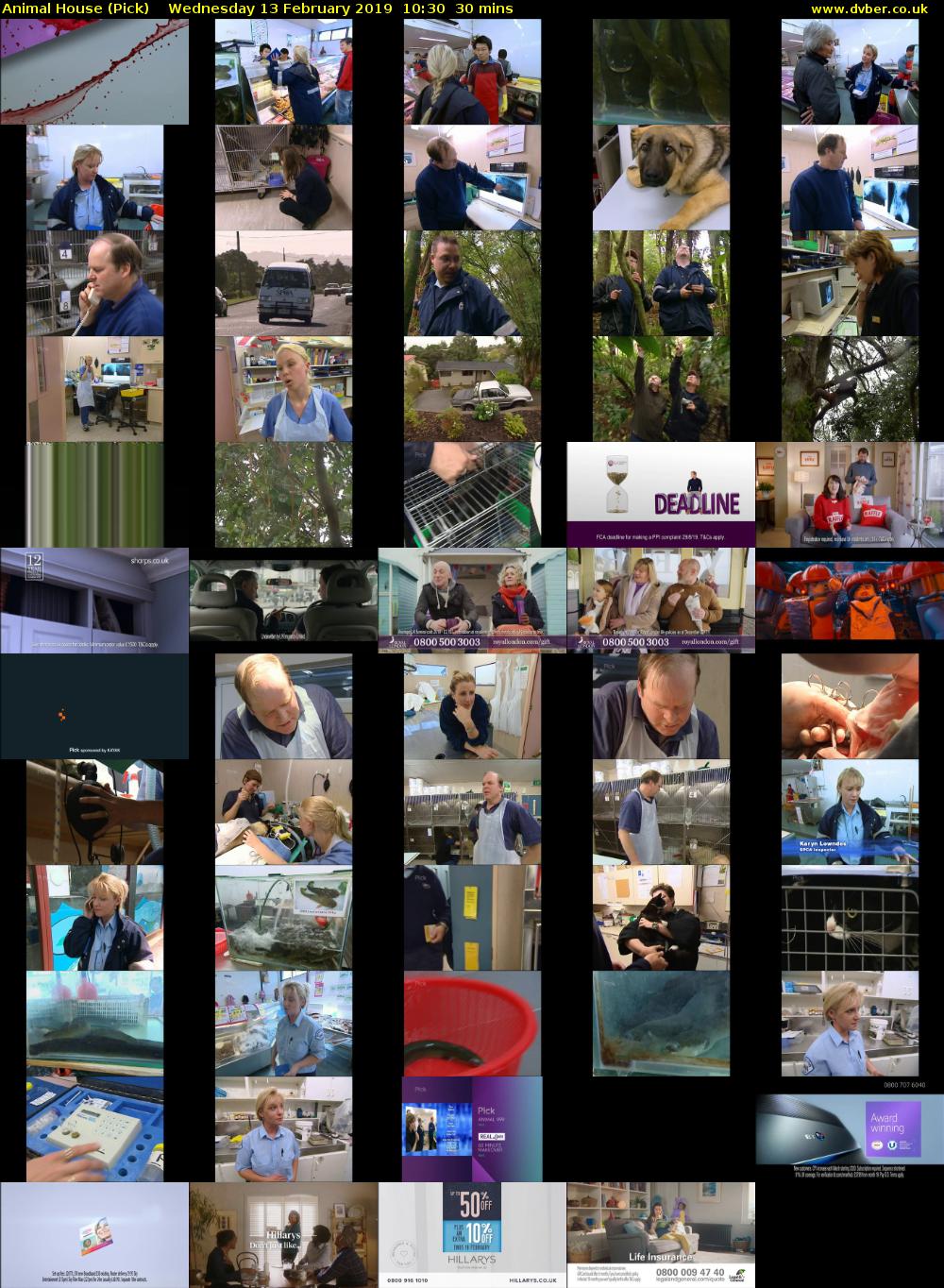 Animal House (Pick) Wednesday 13 February 2019 10:30 - 11:00