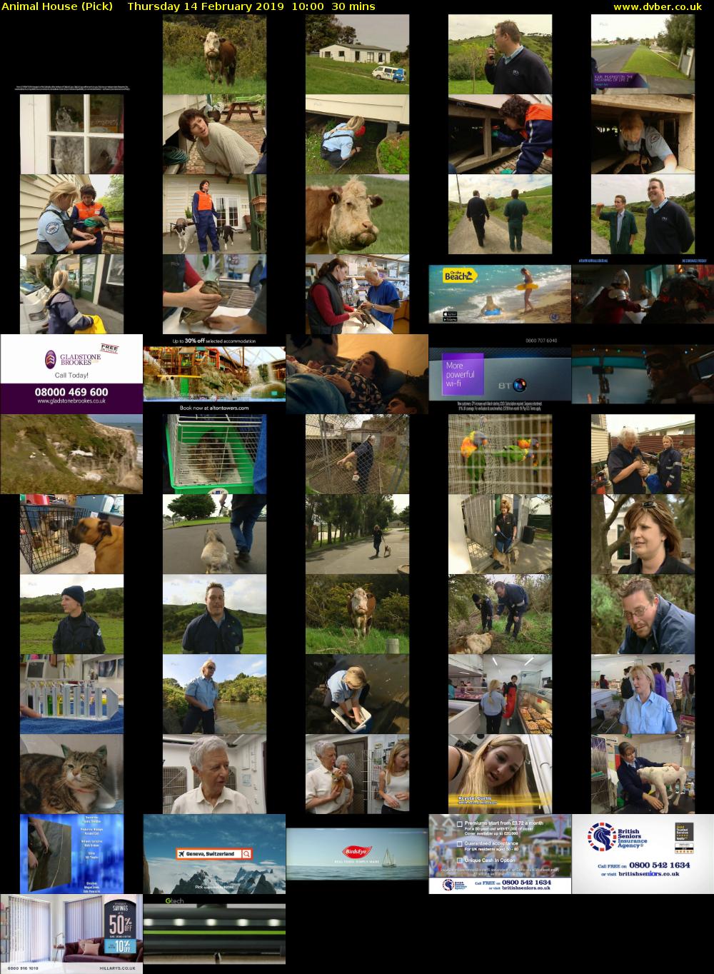 Animal House (Pick) Thursday 14 February 2019 10:00 - 10:30