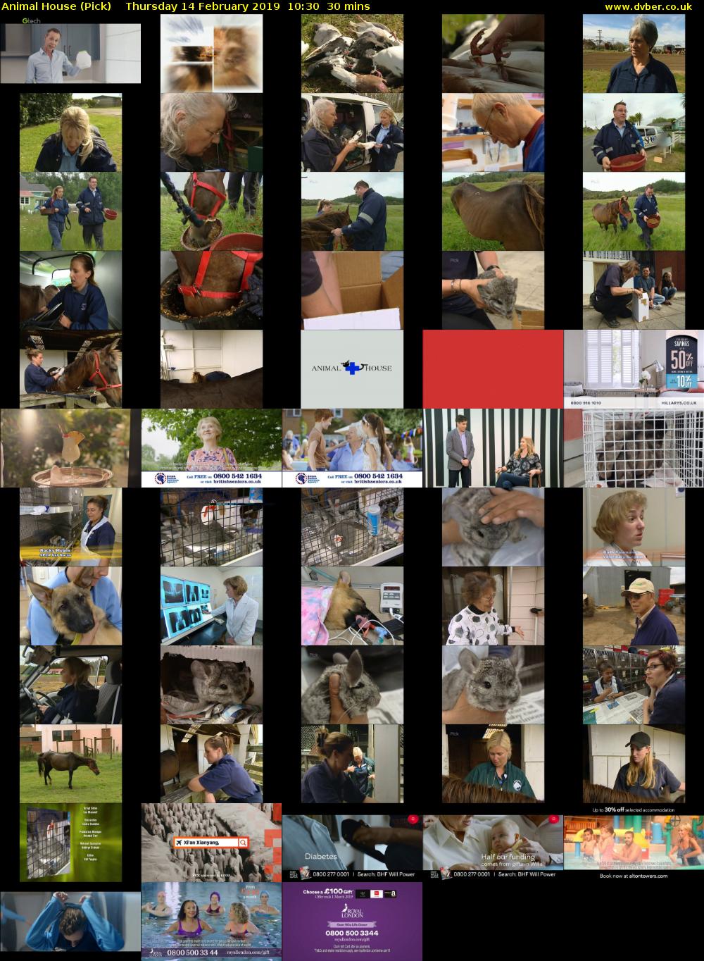 Animal House (Pick) Thursday 14 February 2019 10:30 - 11:00