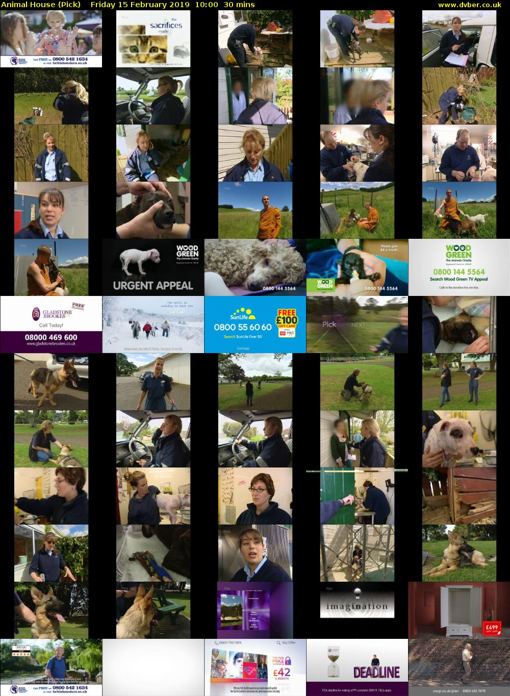 Animal House (Pick) Friday 15 February 2019 10:00 - 10:30