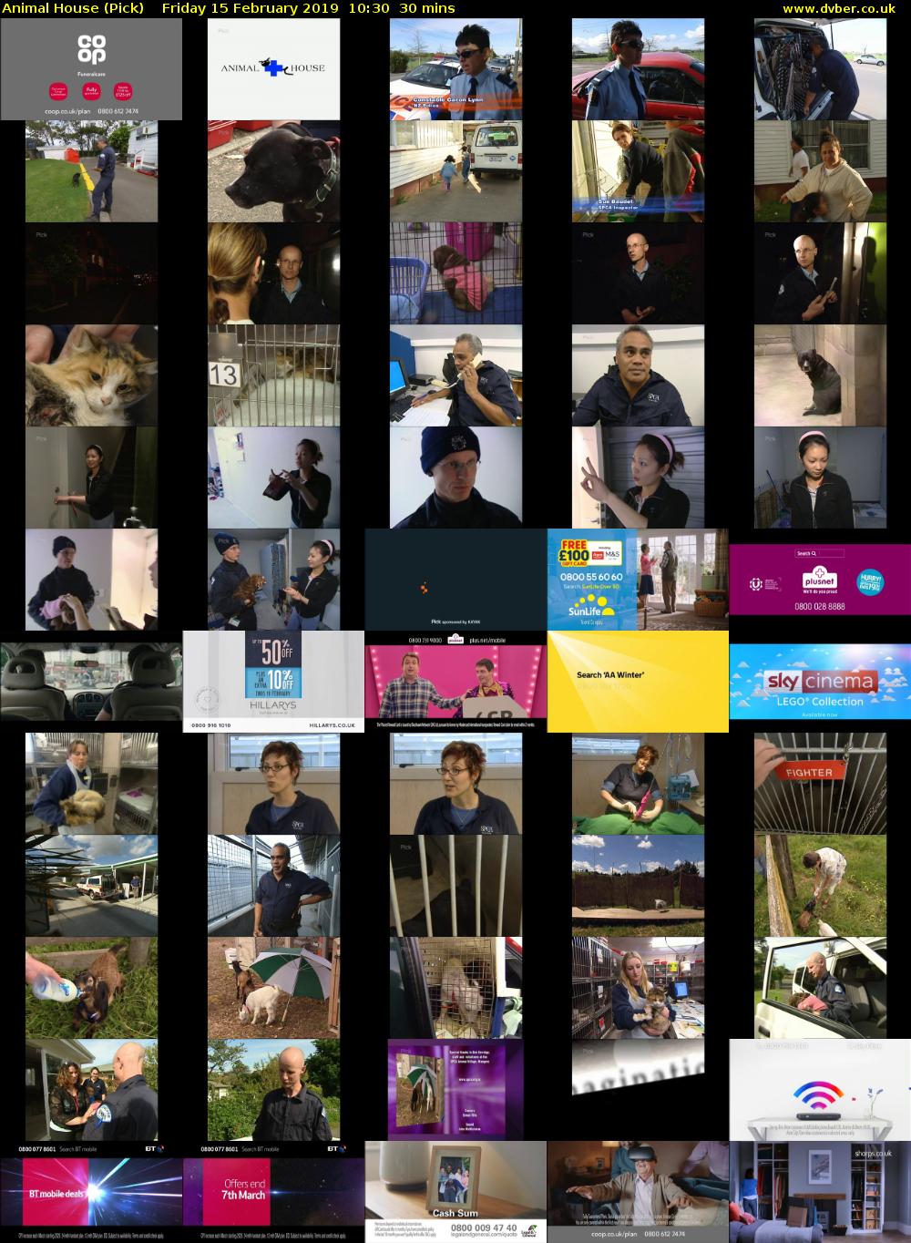 Animal House (Pick) Friday 15 February 2019 10:30 - 11:00