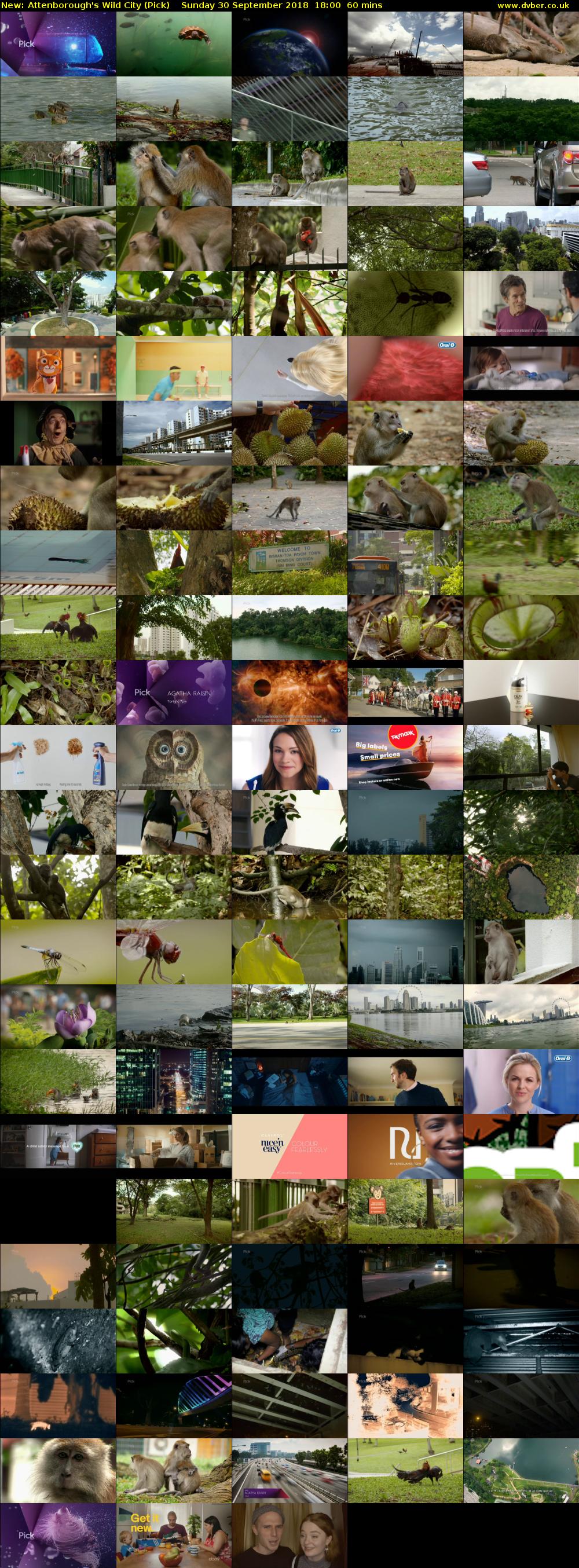 Attenborough's Wild City (Pick) Sunday 30 September 2018 18:00 - 19:00