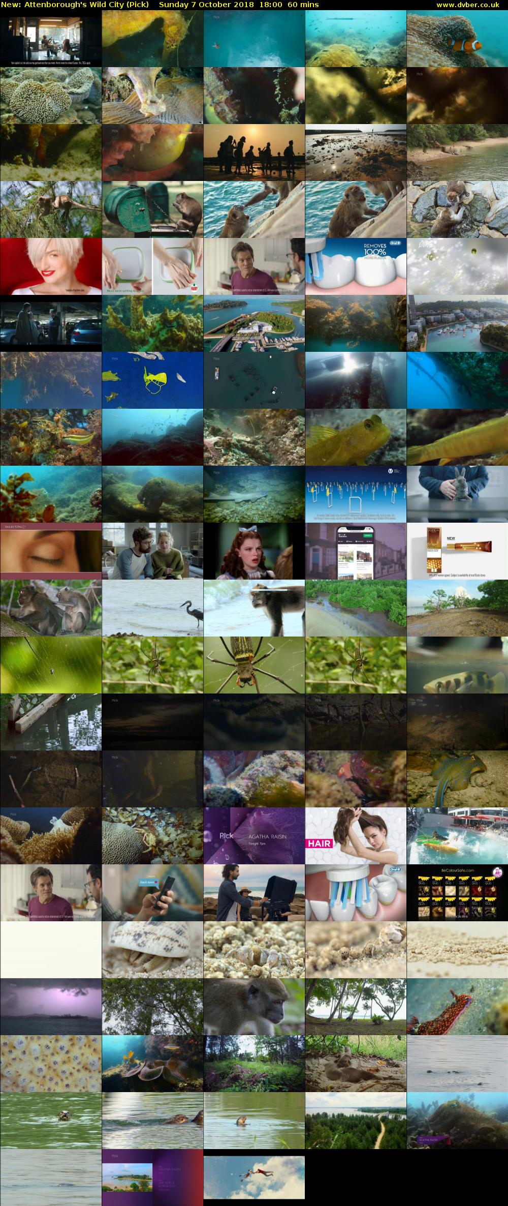 Attenborough's Wild City (Pick) Sunday 7 October 2018 18:00 - 19:00