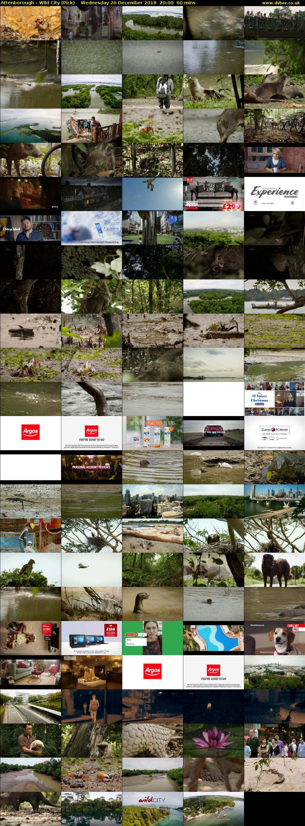 Attenborough - Wild City (Pick) Wednesday 26 December 2018 20:00 - 21:00