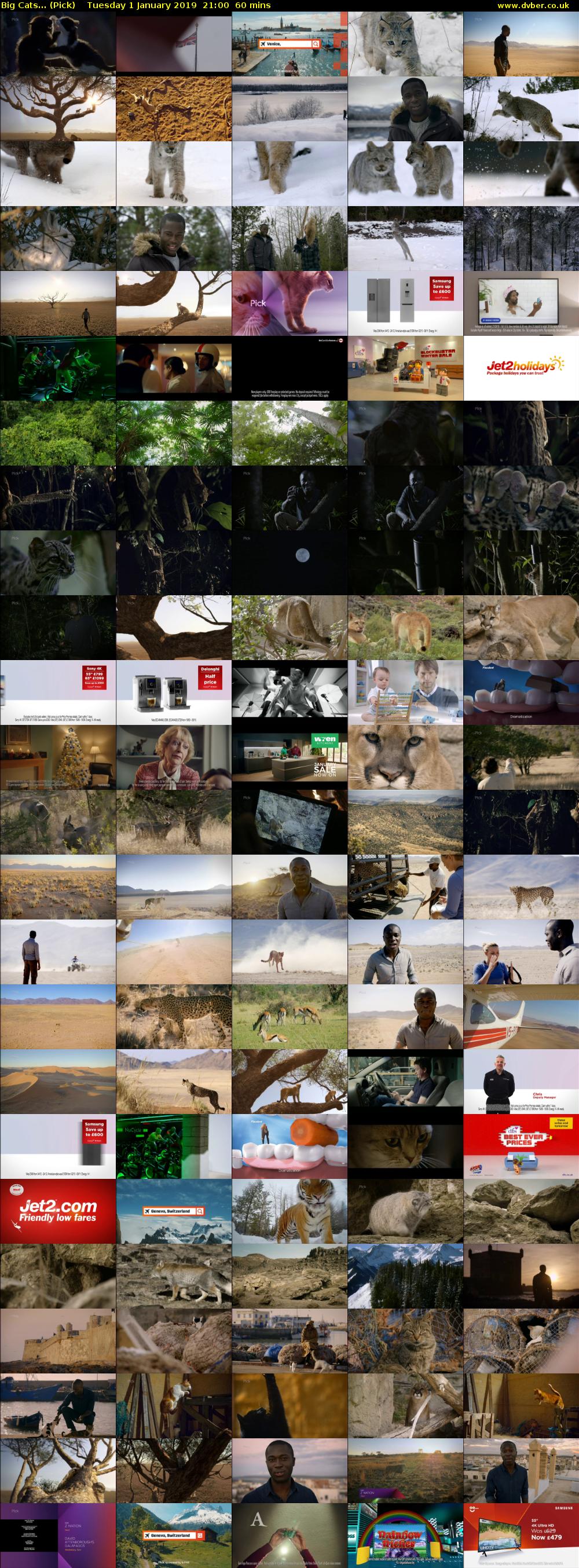 Big Cats... (Pick) Tuesday 1 January 2019 21:00 - 22:00