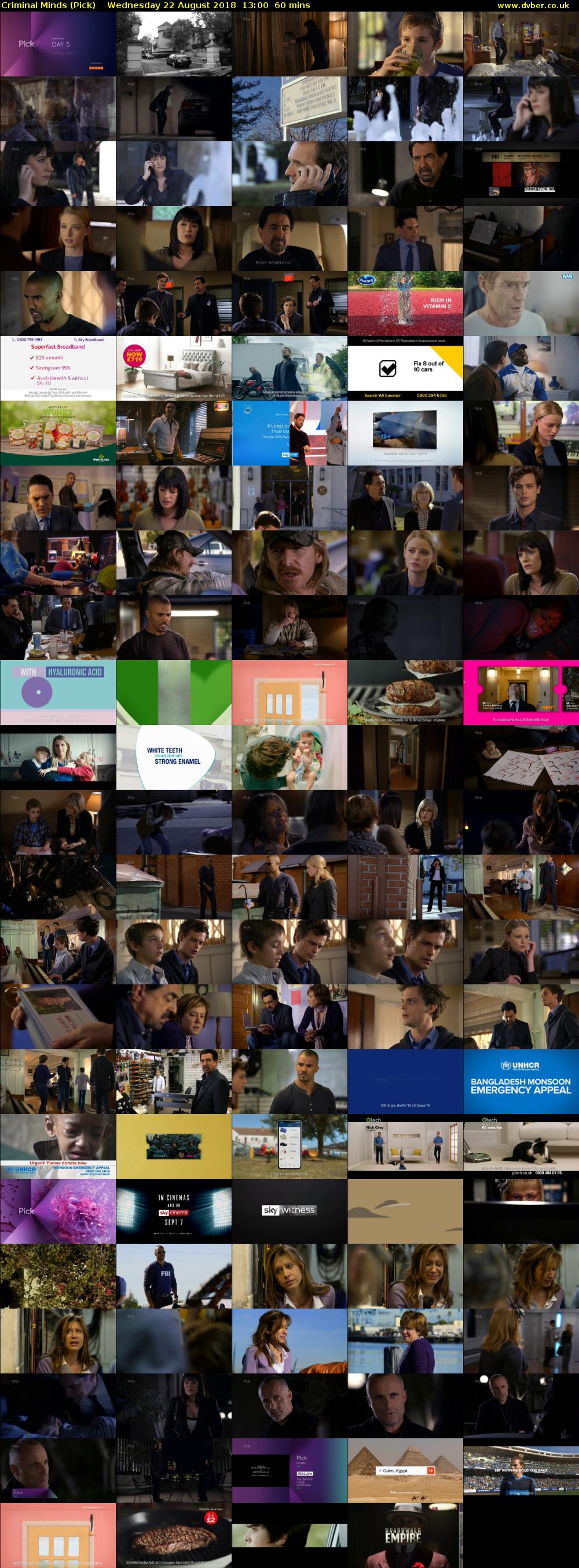 Criminal Minds (Pick) Wednesday 22 August 2018 13:00 - 14:00