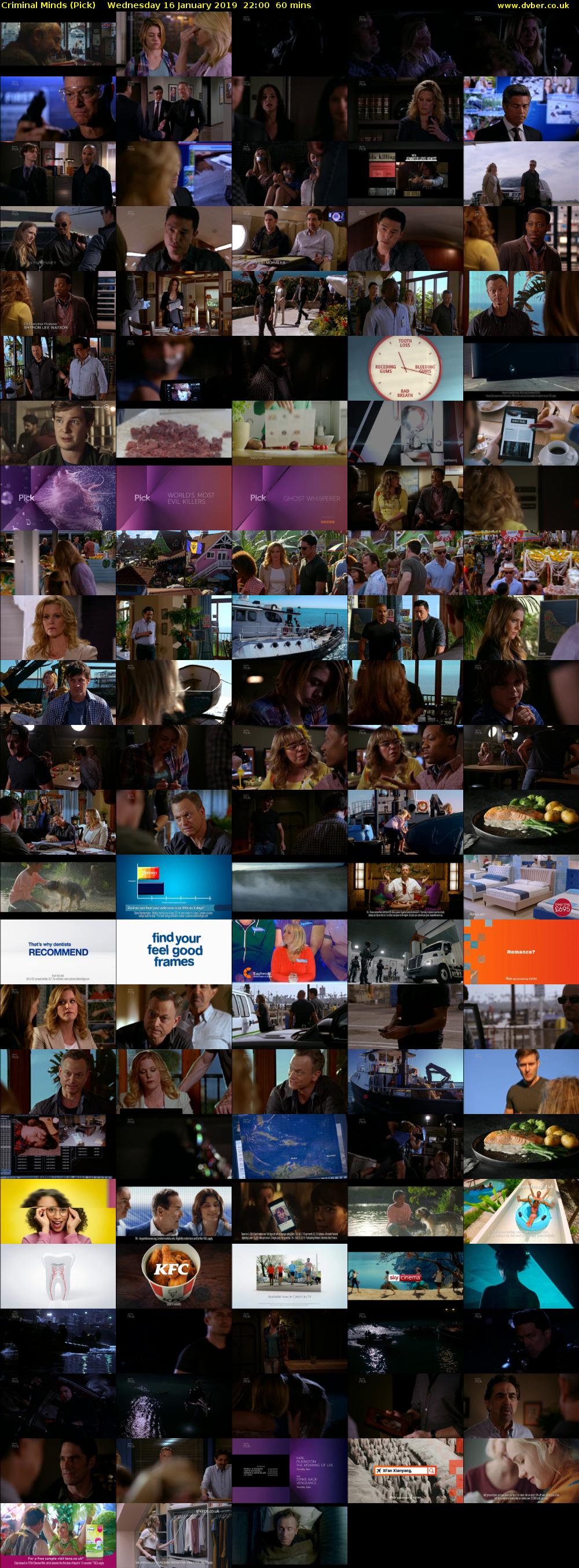 Criminal Minds (Pick) Wednesday 16 January 2019 22:00 - 23:00