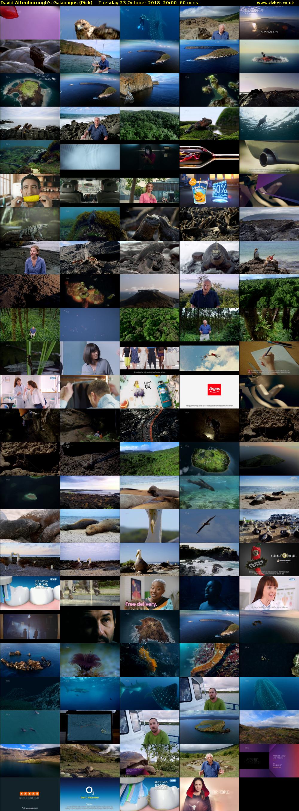 David Attenborough's Galapagos (Pick) Tuesday 23 October 2018 20:00 - 21:00