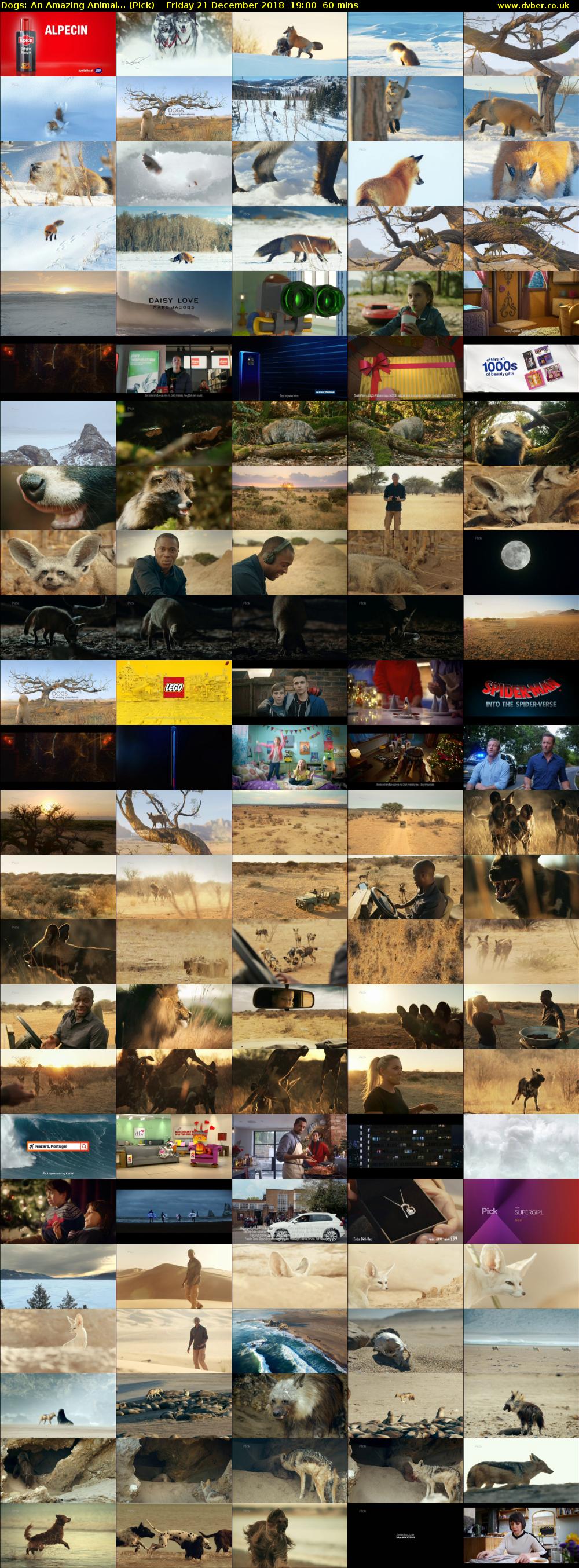 Dogs: An Amazing Animal... (Pick) Friday 21 December 2018 19:00 - 20:00