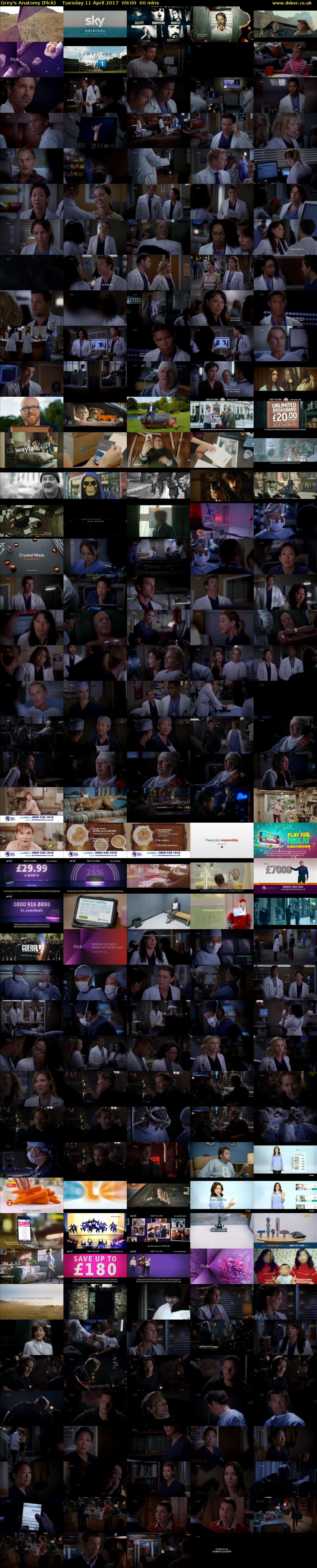 Grey's Anatomy (Pick) Tuesday 11 April 2017 09:00 - 10:00
