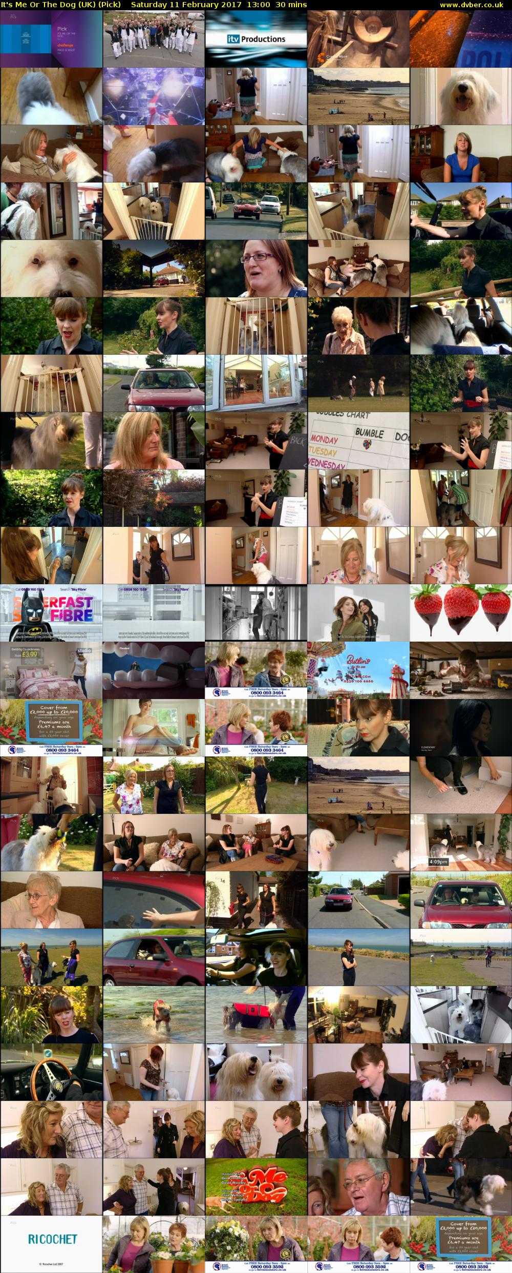 It's Me Or The Dog (UK) (Pick) Saturday 11 February 2017 13:00 - 13:30