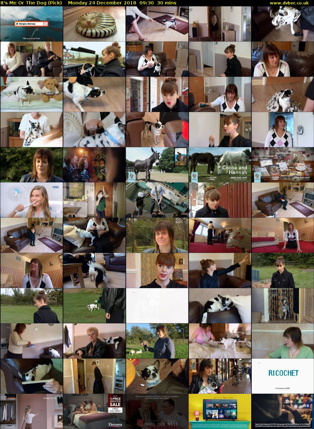 It's Me Or The Dog (Pick) Monday 24 December 2018 09:30 - 10:00