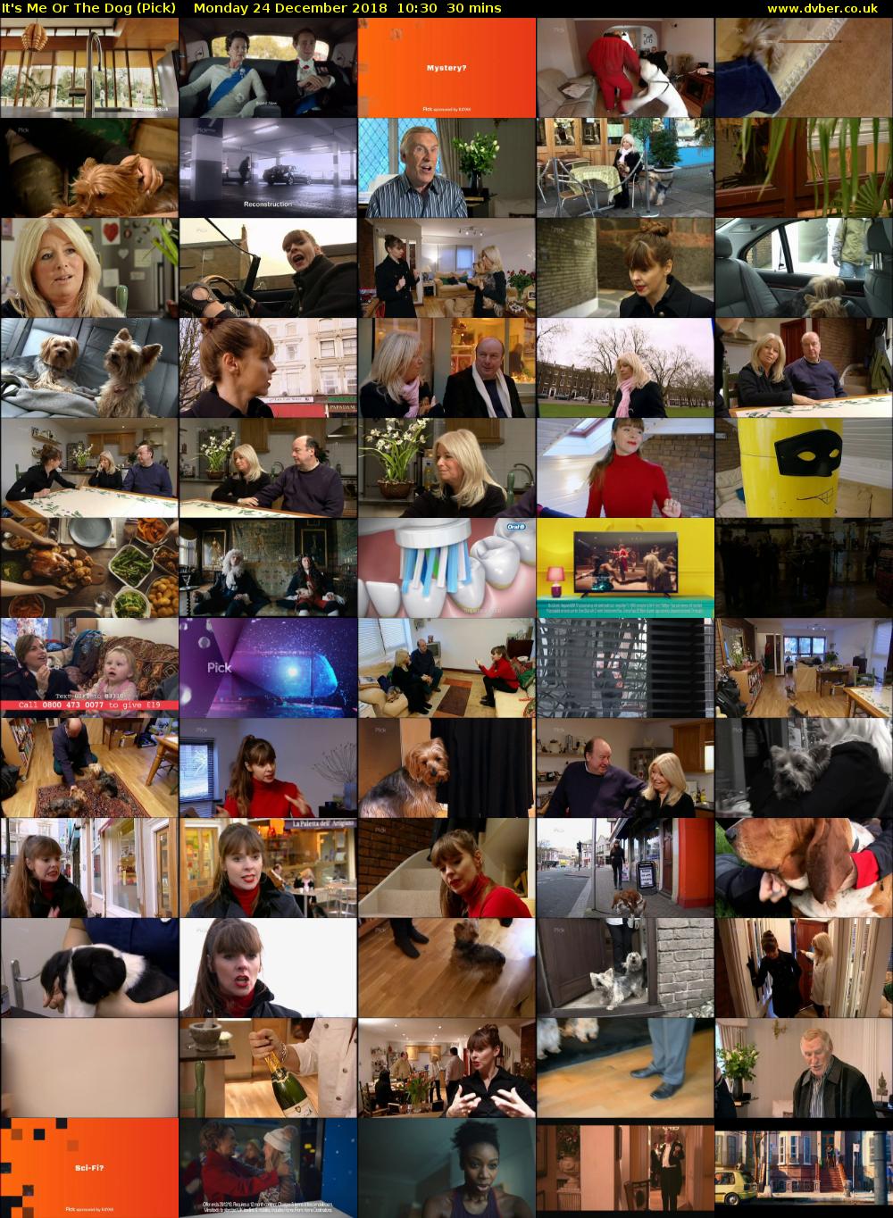 It's Me Or The Dog (Pick) Monday 24 December 2018 10:30 - 11:00