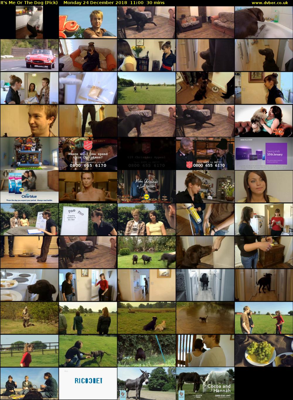 It's Me Or The Dog (Pick) Monday 24 December 2018 11:00 - 11:30