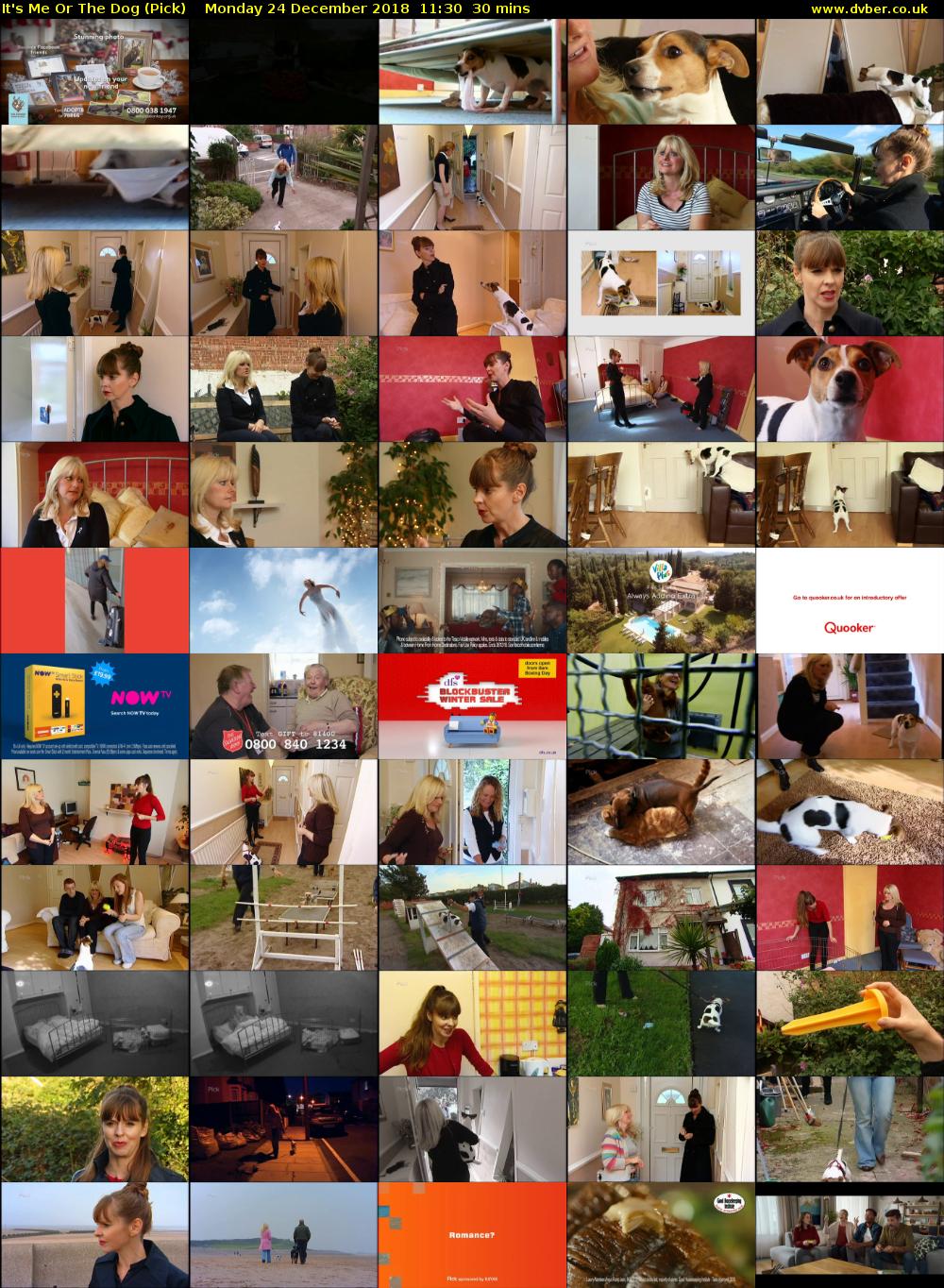 It's Me Or The Dog (Pick) Monday 24 December 2018 11:30 - 12:00