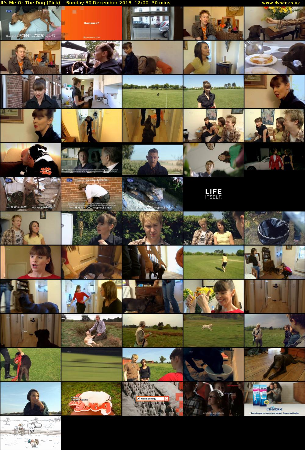 It's Me Or The Dog (Pick) Sunday 30 December 2018 12:00 - 12:30