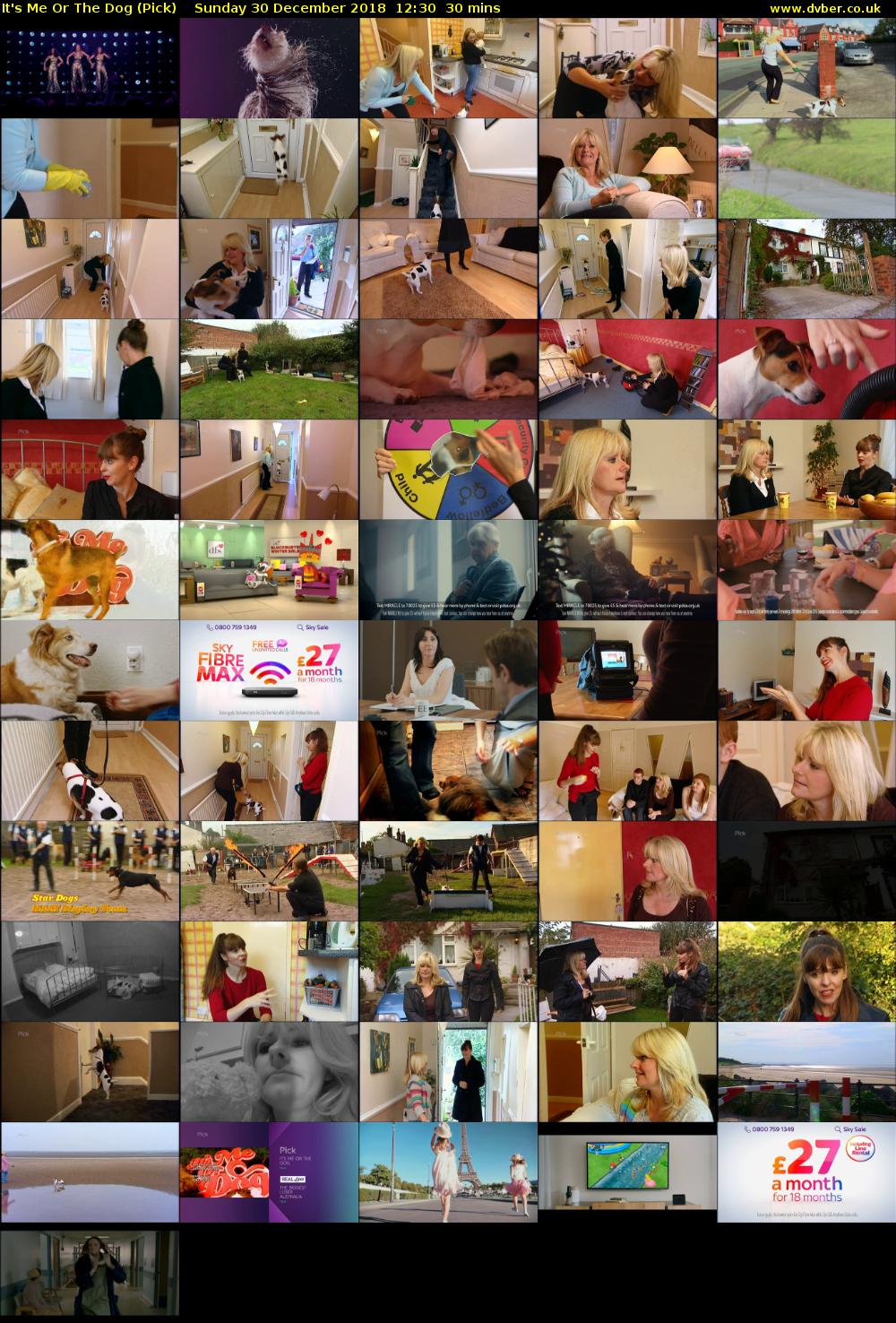 It's Me Or The Dog (Pick) Sunday 30 December 2018 12:30 - 13:00