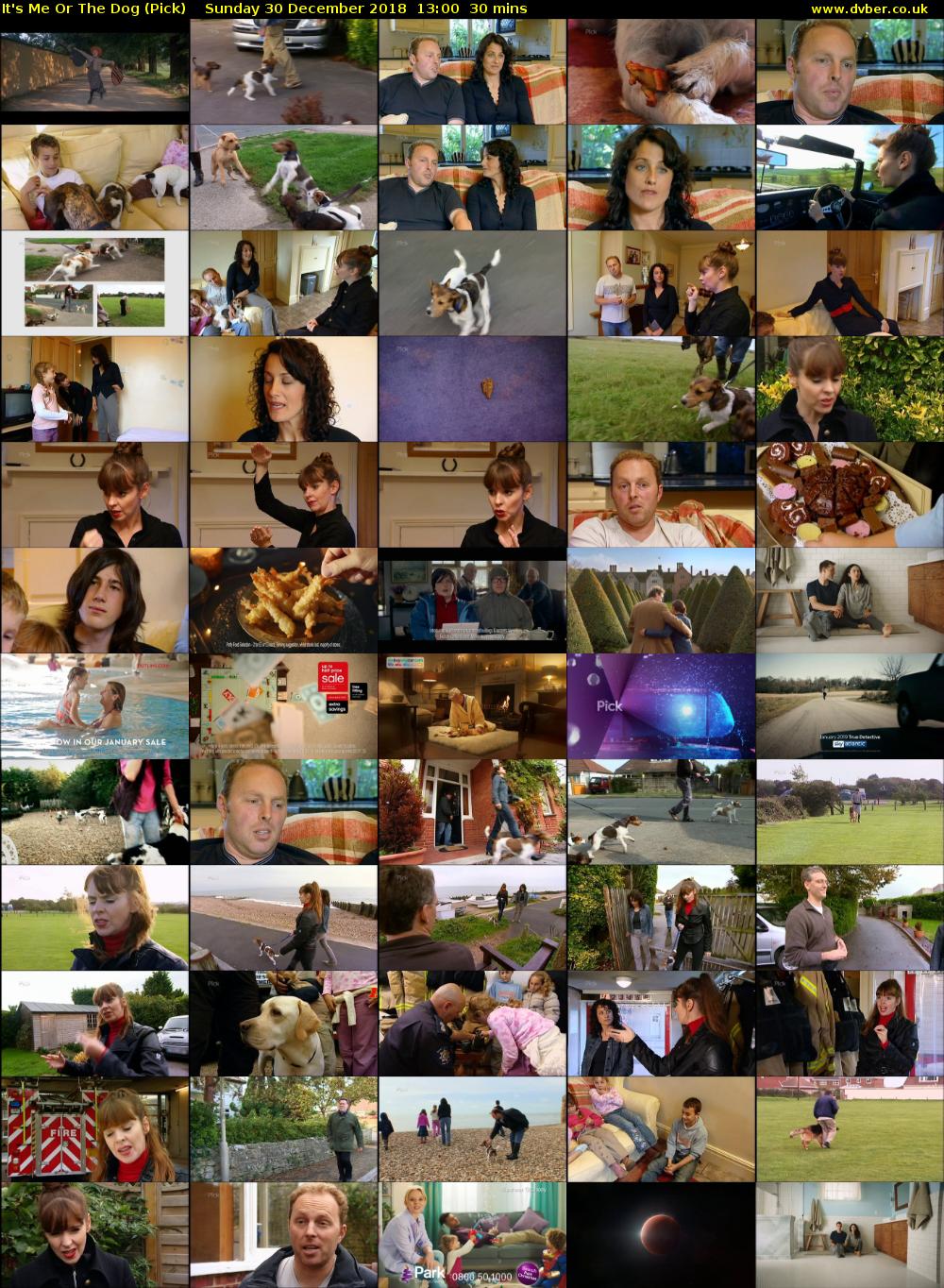 It's Me Or The Dog (Pick) Sunday 30 December 2018 13:00 - 13:30