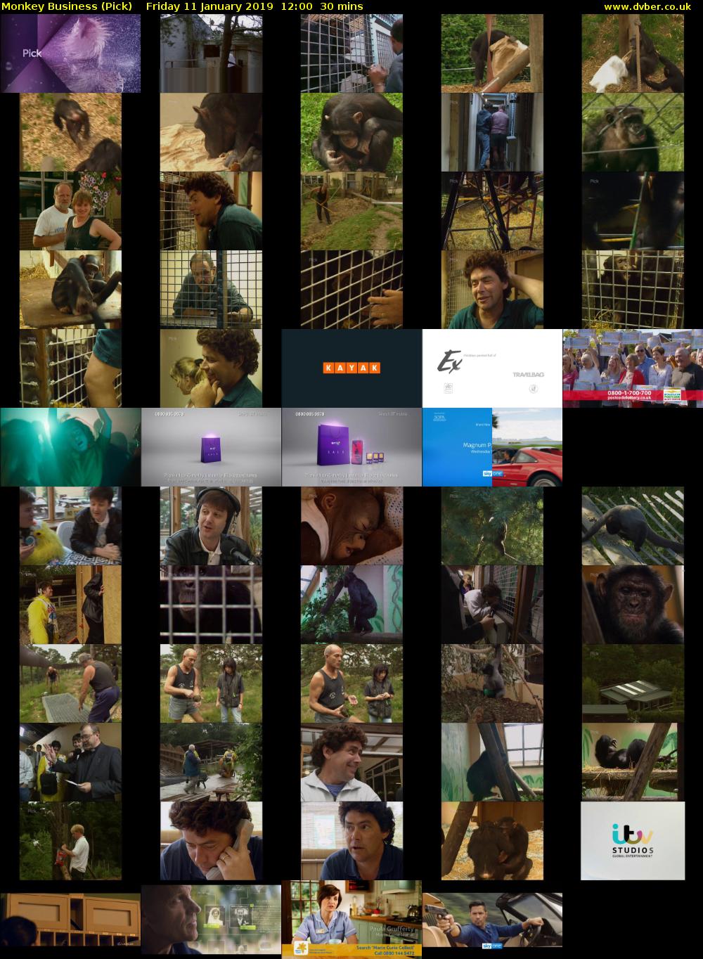 Monkey Business (Pick) Friday 11 January 2019 12:00 - 12:30