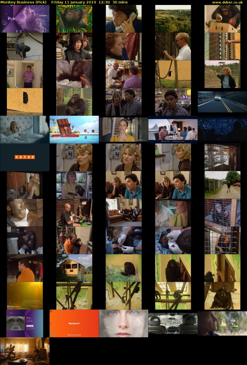 Monkey Business (Pick) Friday 11 January 2019 12:30 - 13:00