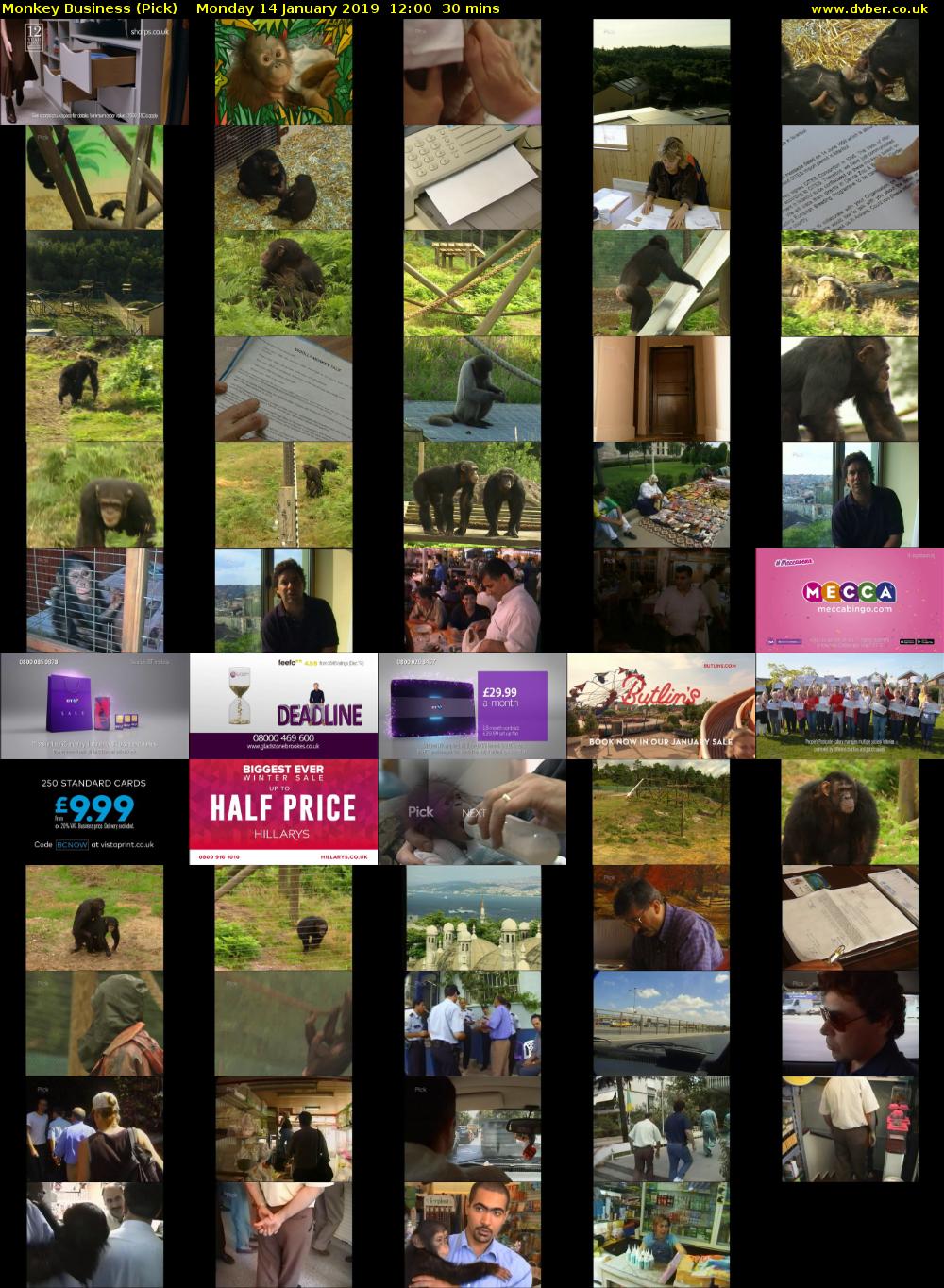 Monkey Business (Pick) Monday 14 January 2019 12:00 - 12:30