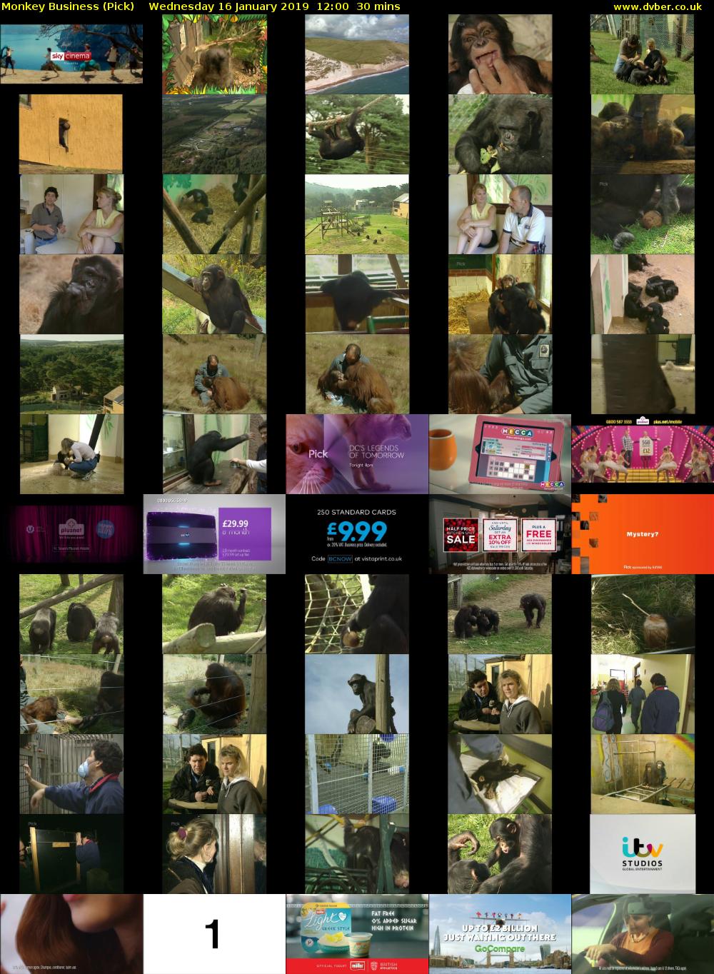 Monkey Business (Pick) Wednesday 16 January 2019 12:00 - 12:30