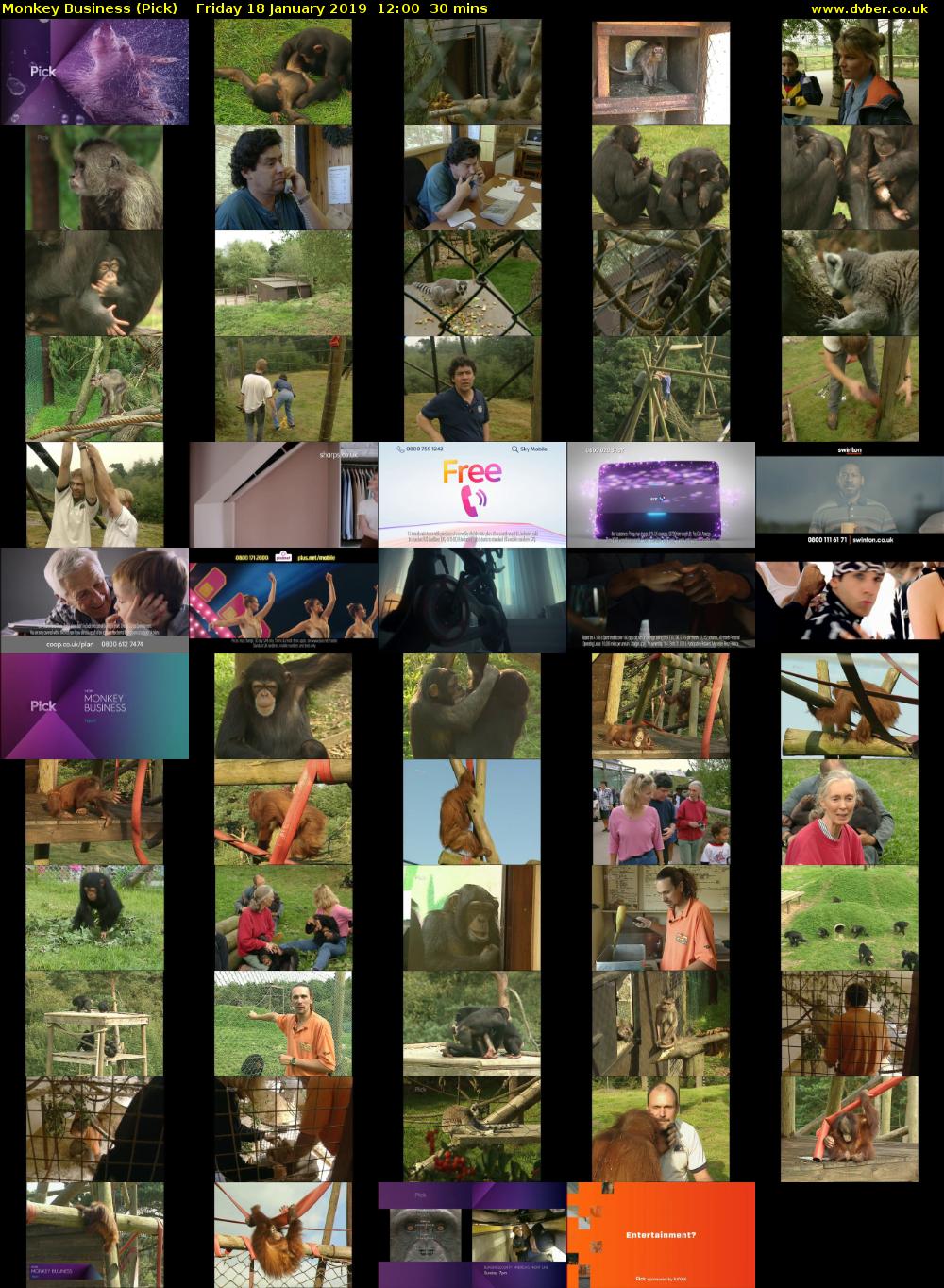 Monkey Business (Pick) Friday 18 January 2019 12:00 - 12:30