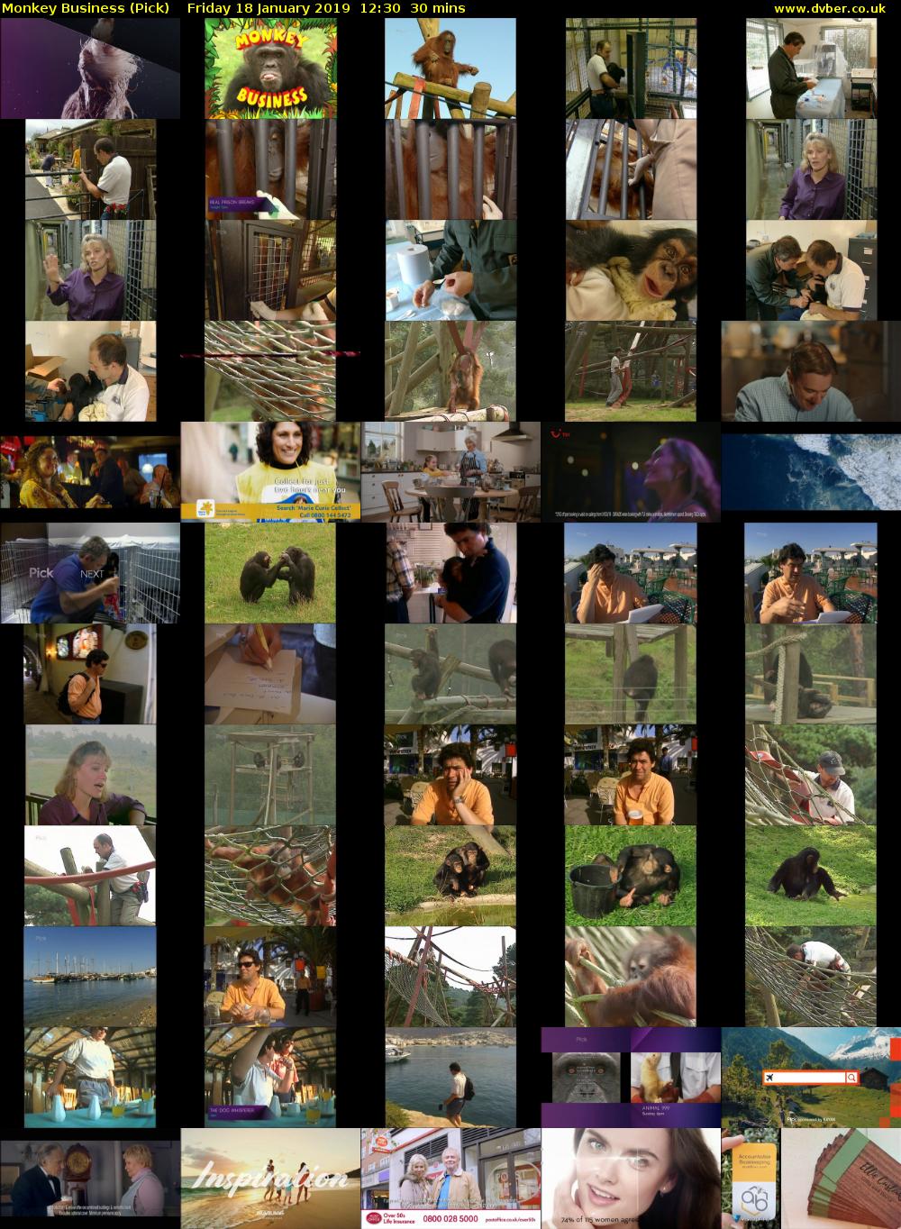 Monkey Business (Pick) Friday 18 January 2019 12:30 - 13:00