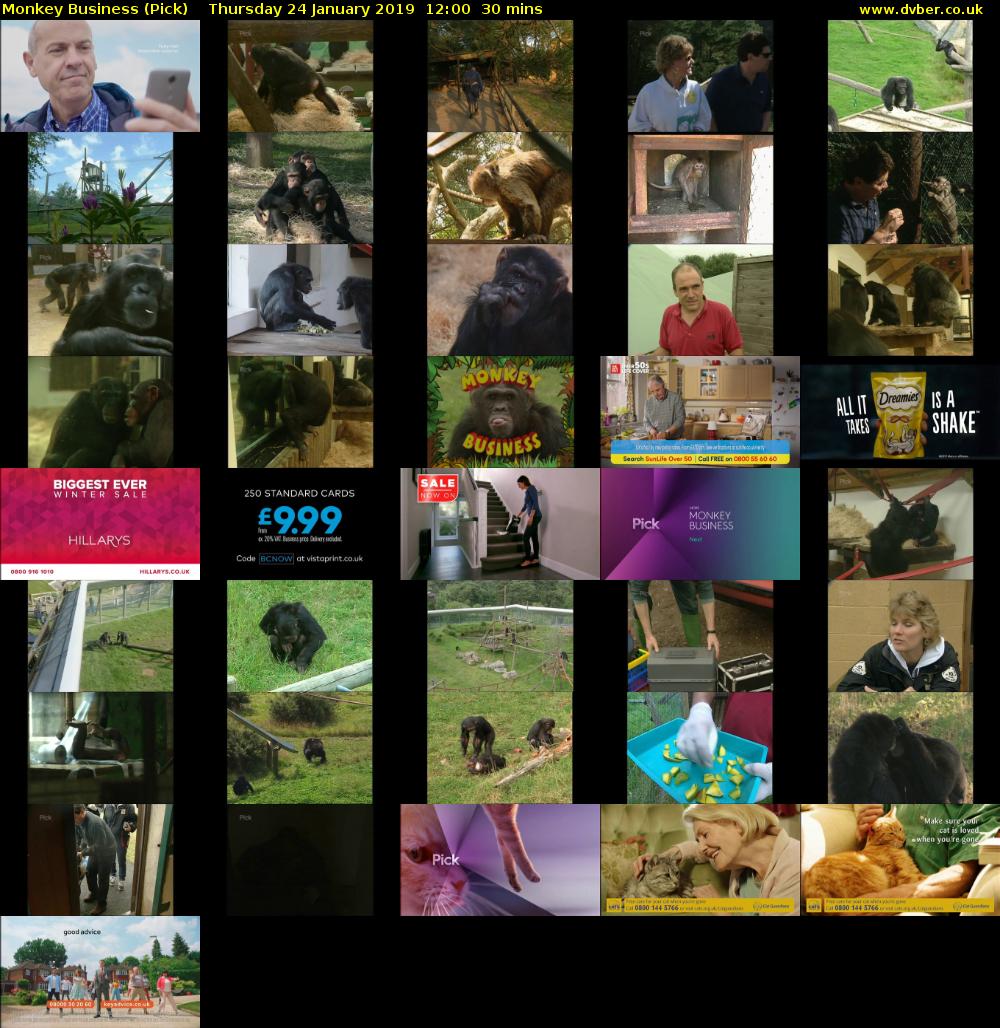 Monkey Business (Pick) Thursday 24 January 2019 12:00 - 12:30