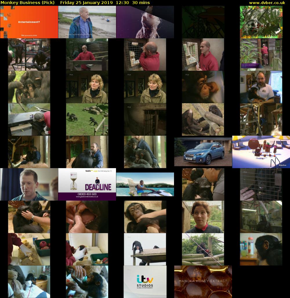 Monkey Business (Pick) Friday 25 January 2019 12:30 - 13:00