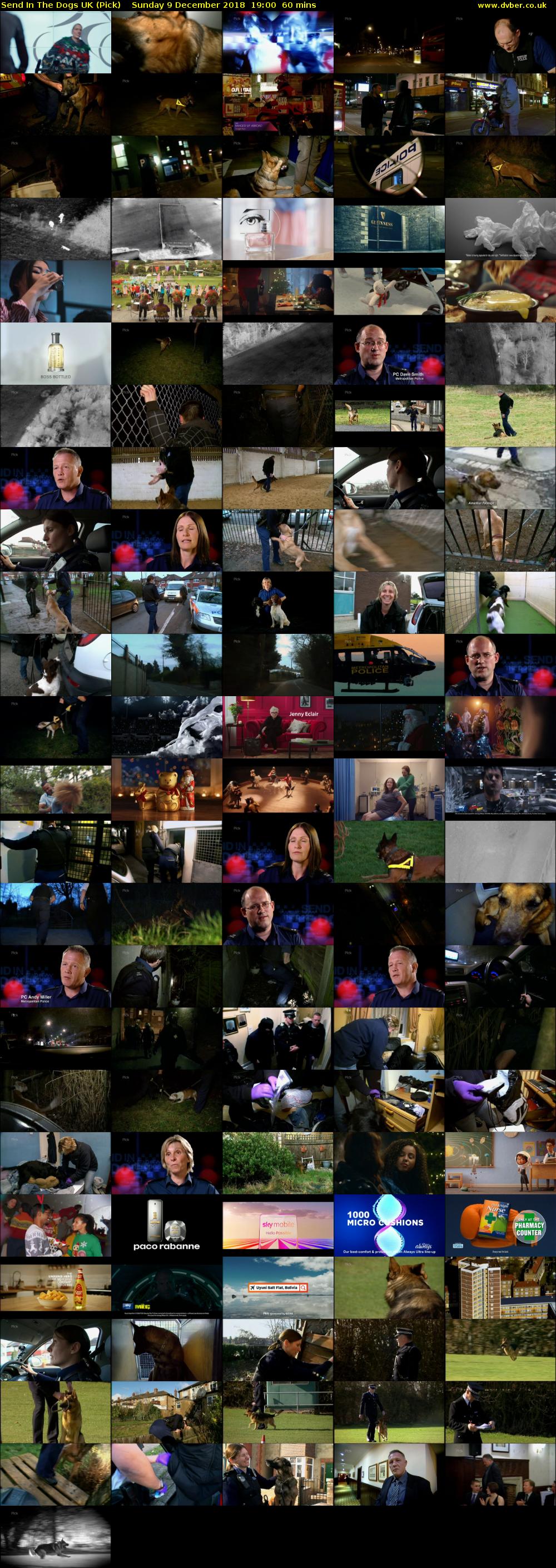 Send In The Dogs UK (Pick) Sunday 9 December 2018 19:00 - 20:00