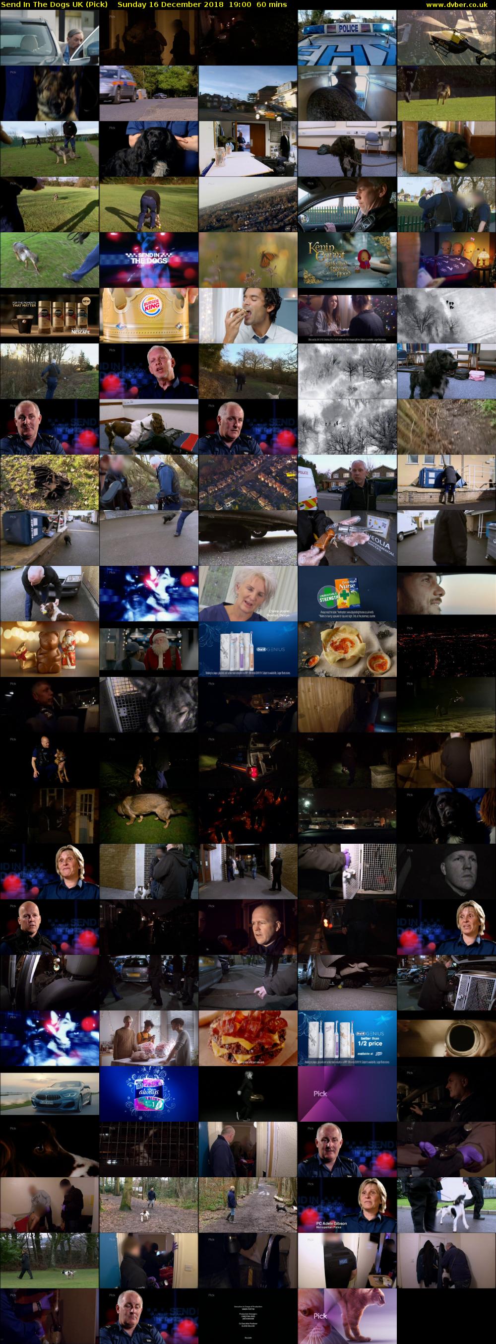 Send In The Dogs UK (Pick) Sunday 16 December 2018 19:00 - 20:00