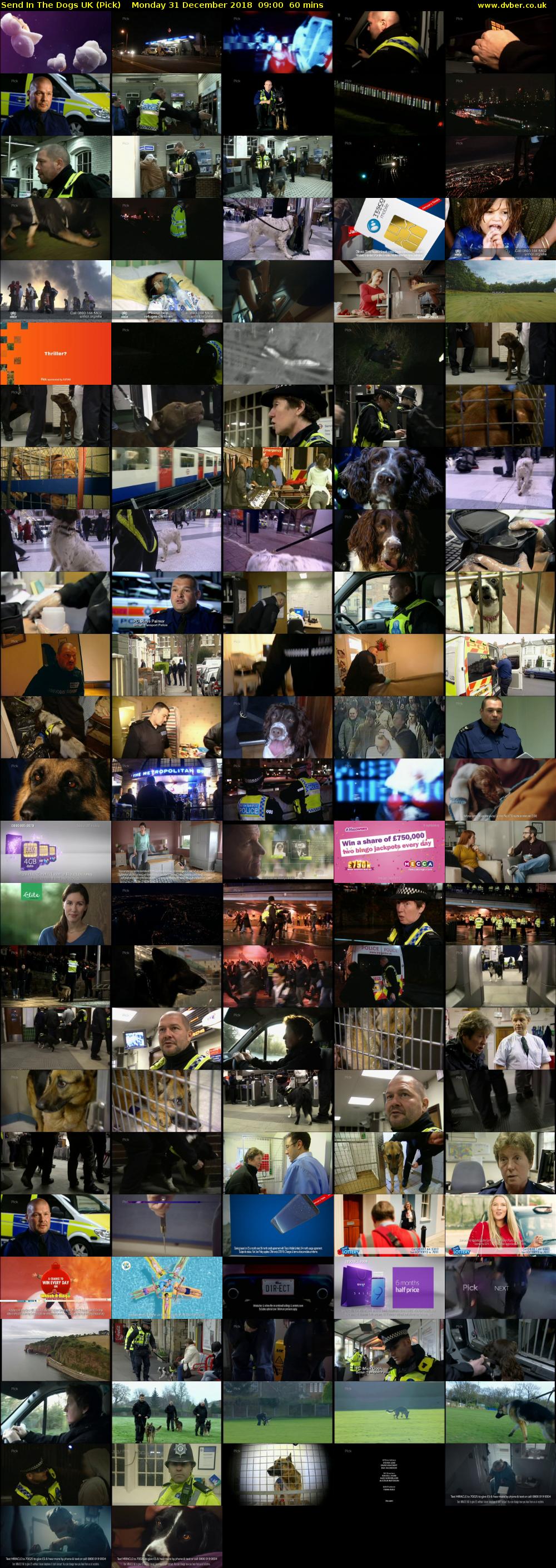 Send In The Dogs UK (Pick) Monday 31 December 2018 09:00 - 10:00