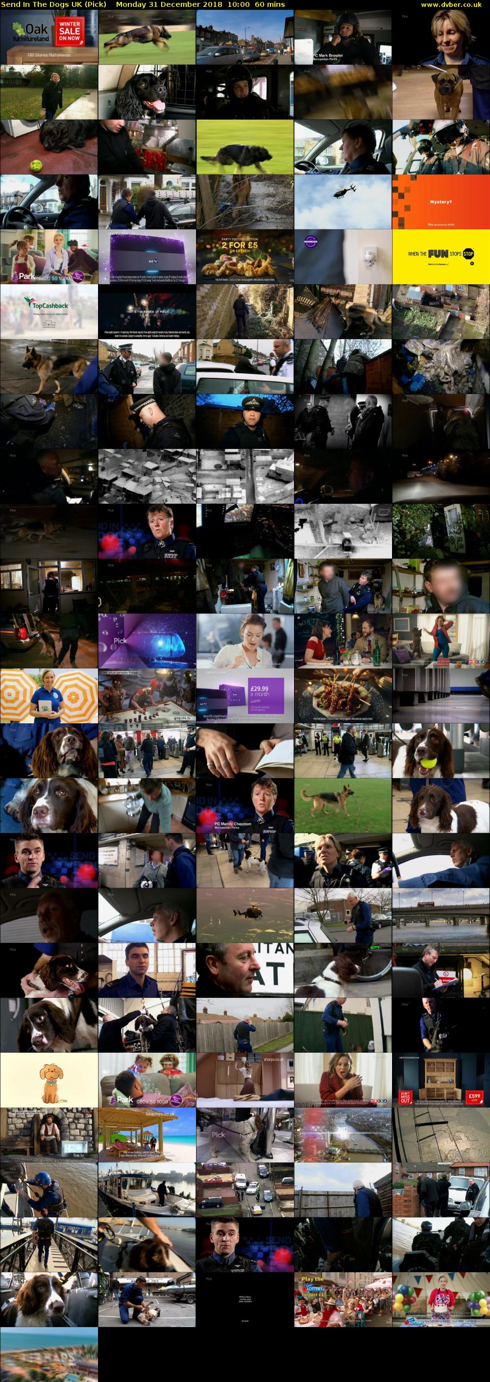 Send In The Dogs UK (Pick) Monday 31 December 2018 10:00 - 11:00