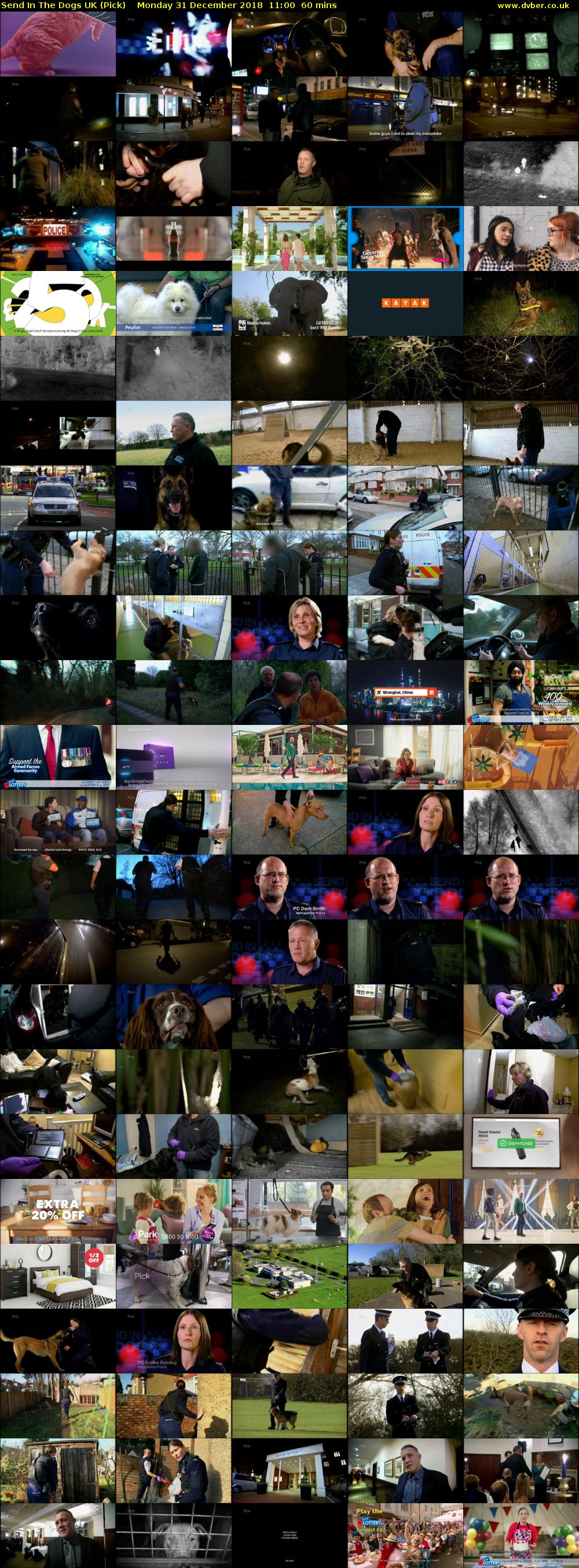 Send In The Dogs UK (Pick) Monday 31 December 2018 11:00 - 12:00