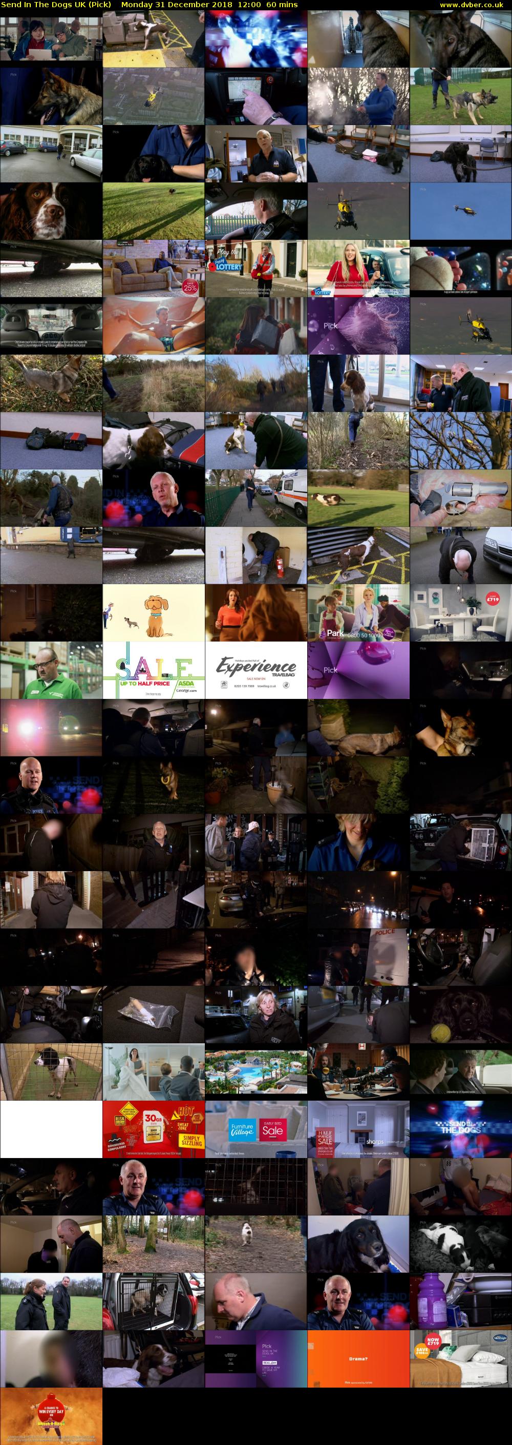 Send In The Dogs UK (Pick) Monday 31 December 2018 12:00 - 13:00