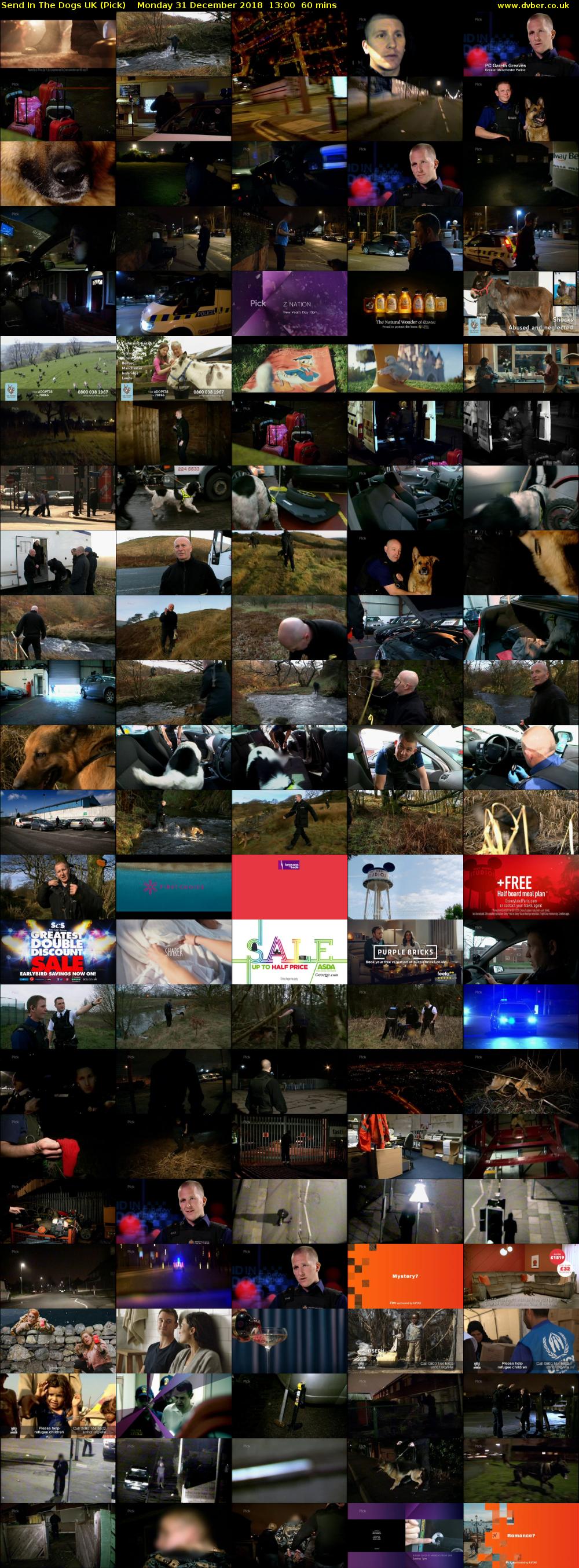 Send In The Dogs UK (Pick) Monday 31 December 2018 13:00 - 14:00